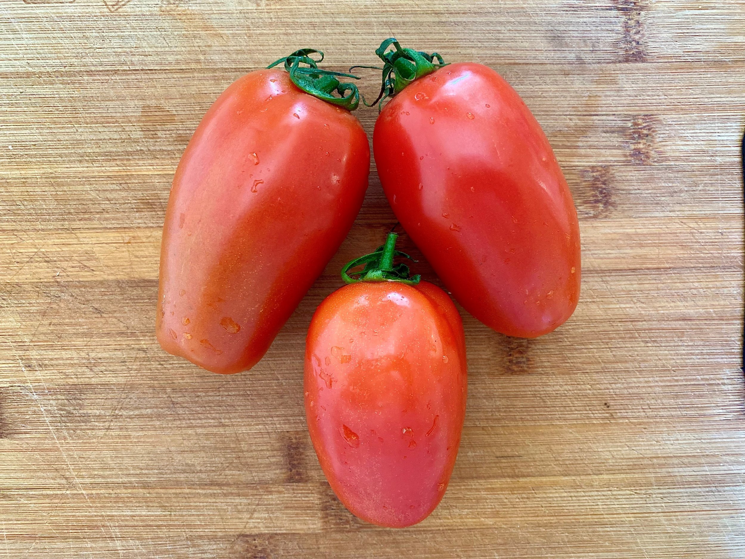 tomatoroma.jpg