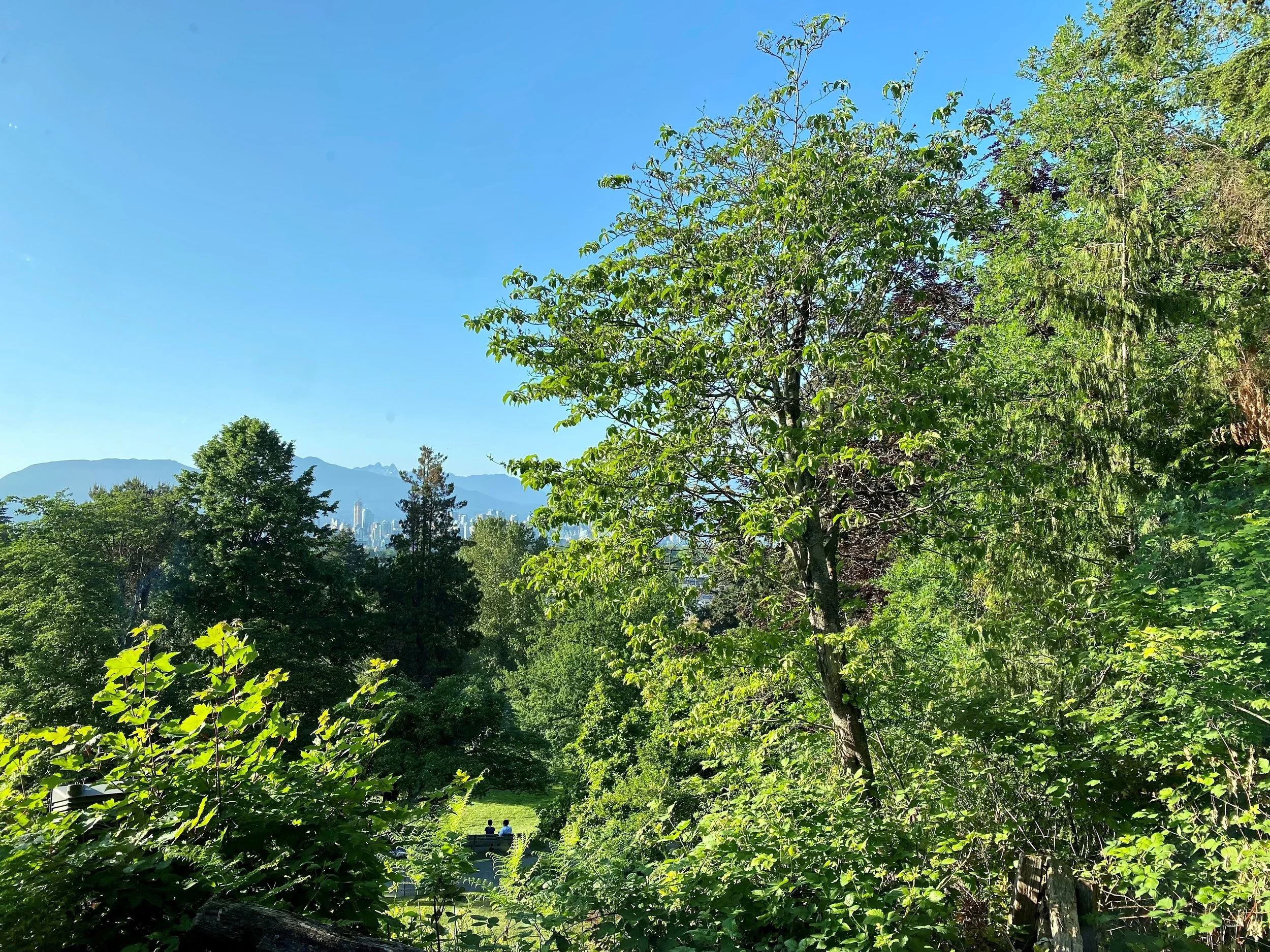 Hot Shots - June 30, 2023