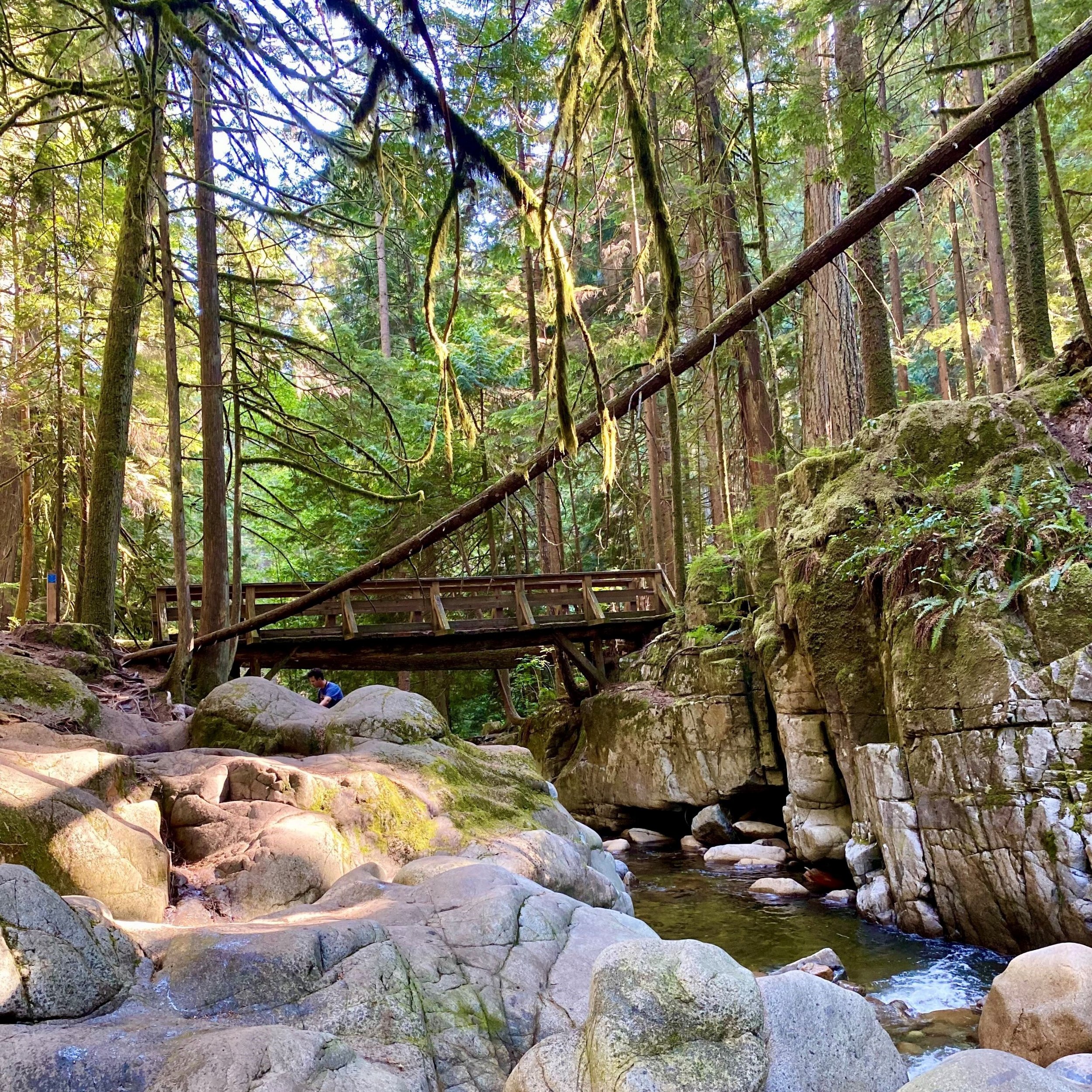 Hot Shots - July 7, 2023