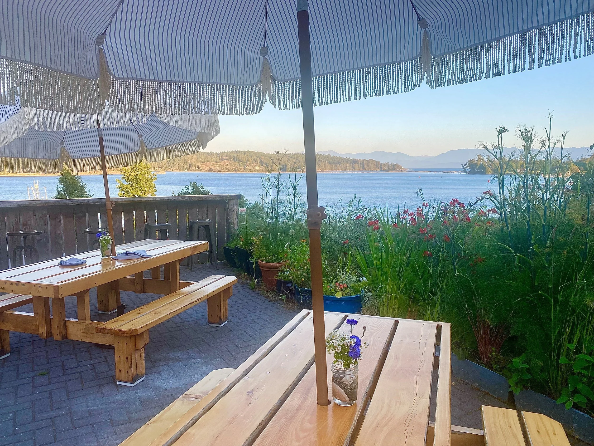 Hot Shots - July 14, 2023