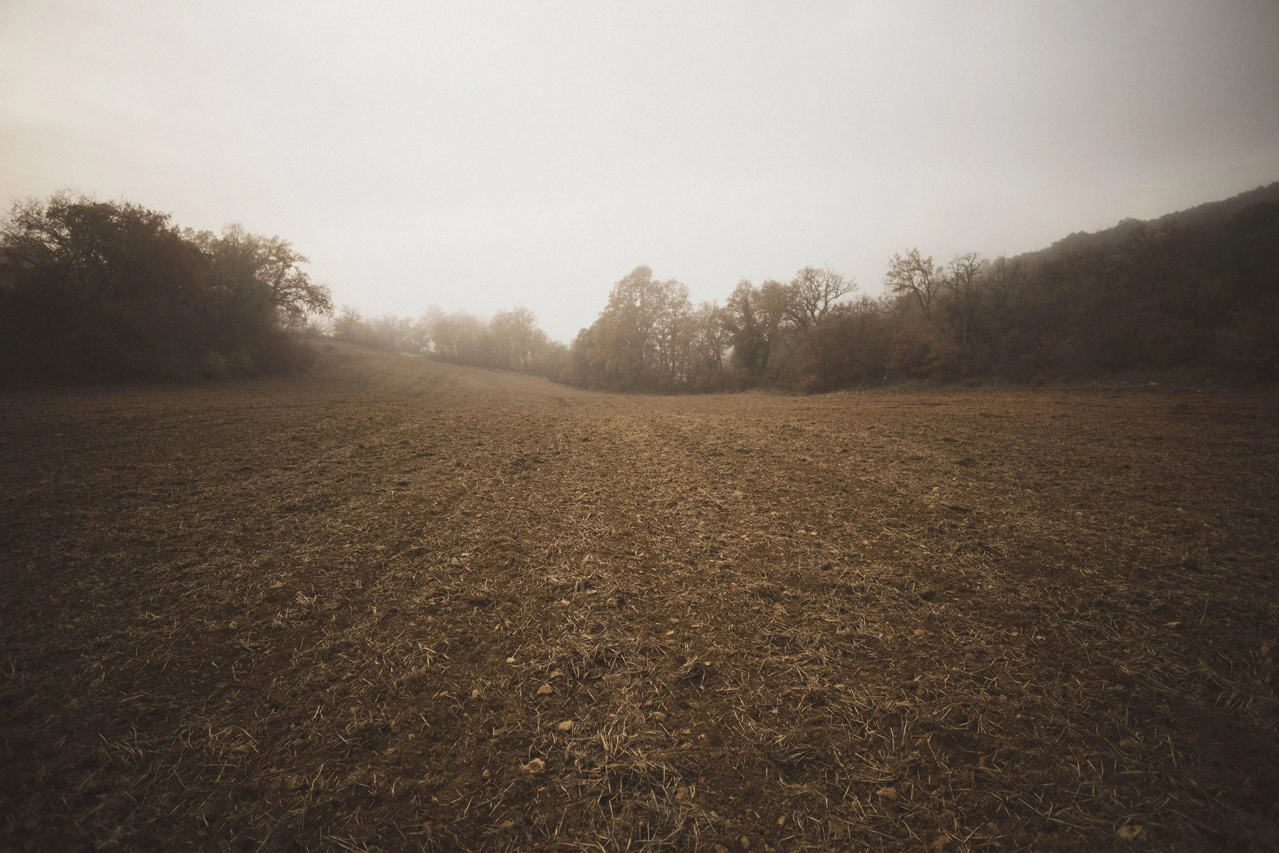 JAVIER DE LA RIVA FOTOGRAFIA PAUSA  ESPAÑA VACIA 16.jpg