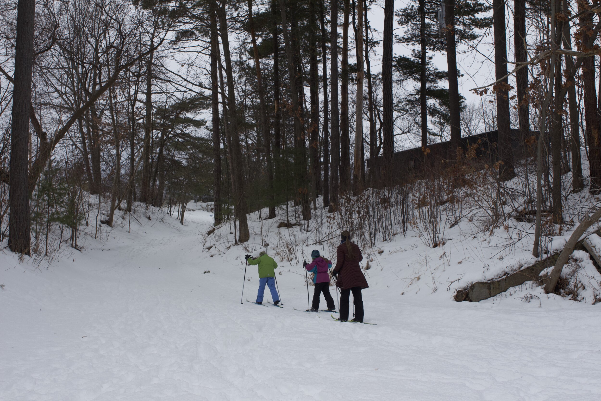   Cathy with her children Amelia and Silas making their way back to the entrance after enjoying the day skiing together.  