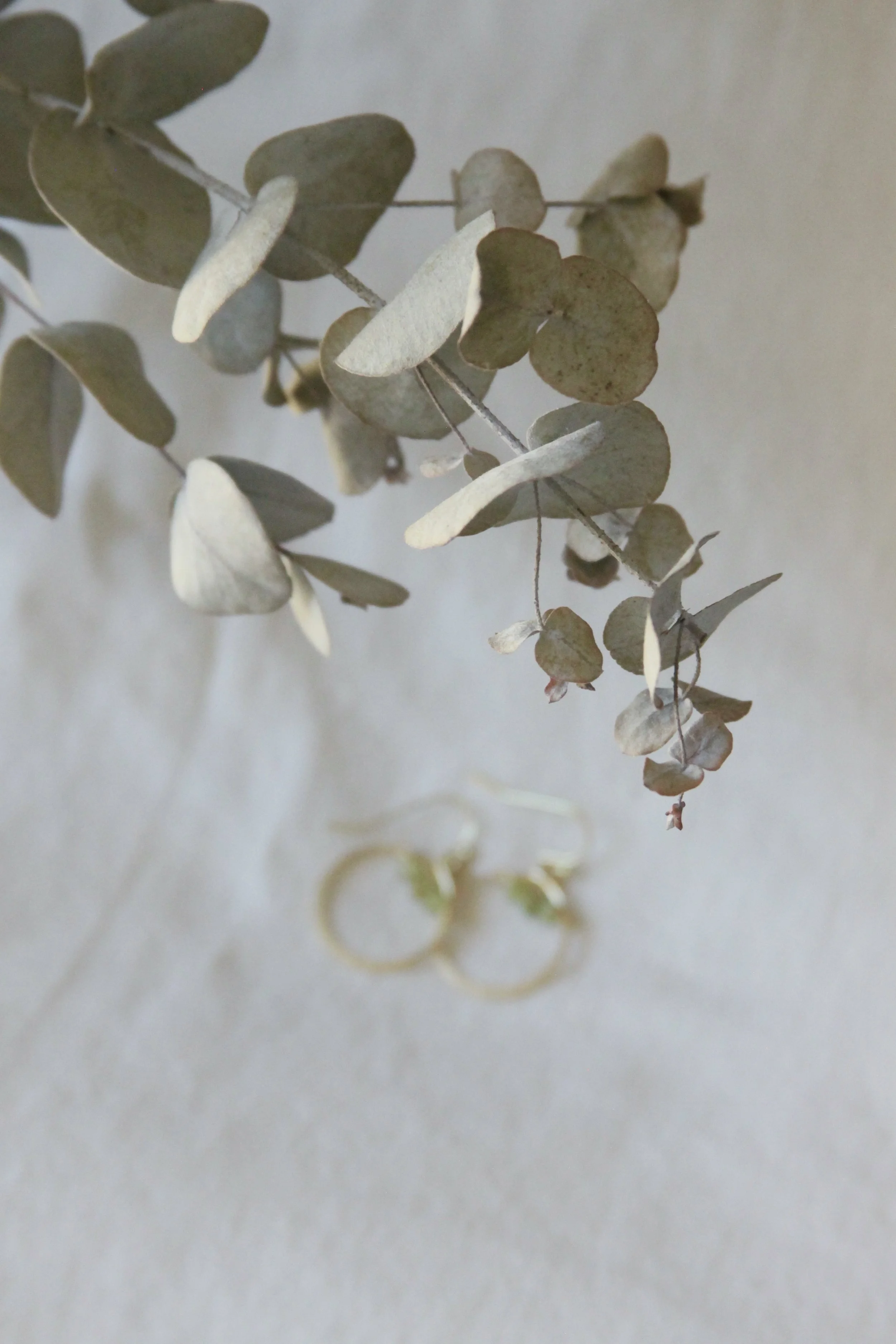 76C6D8A3-863A-42AF-8A6D-B6A8C5B0D2A6_1_201_a.jpeg (Copy)