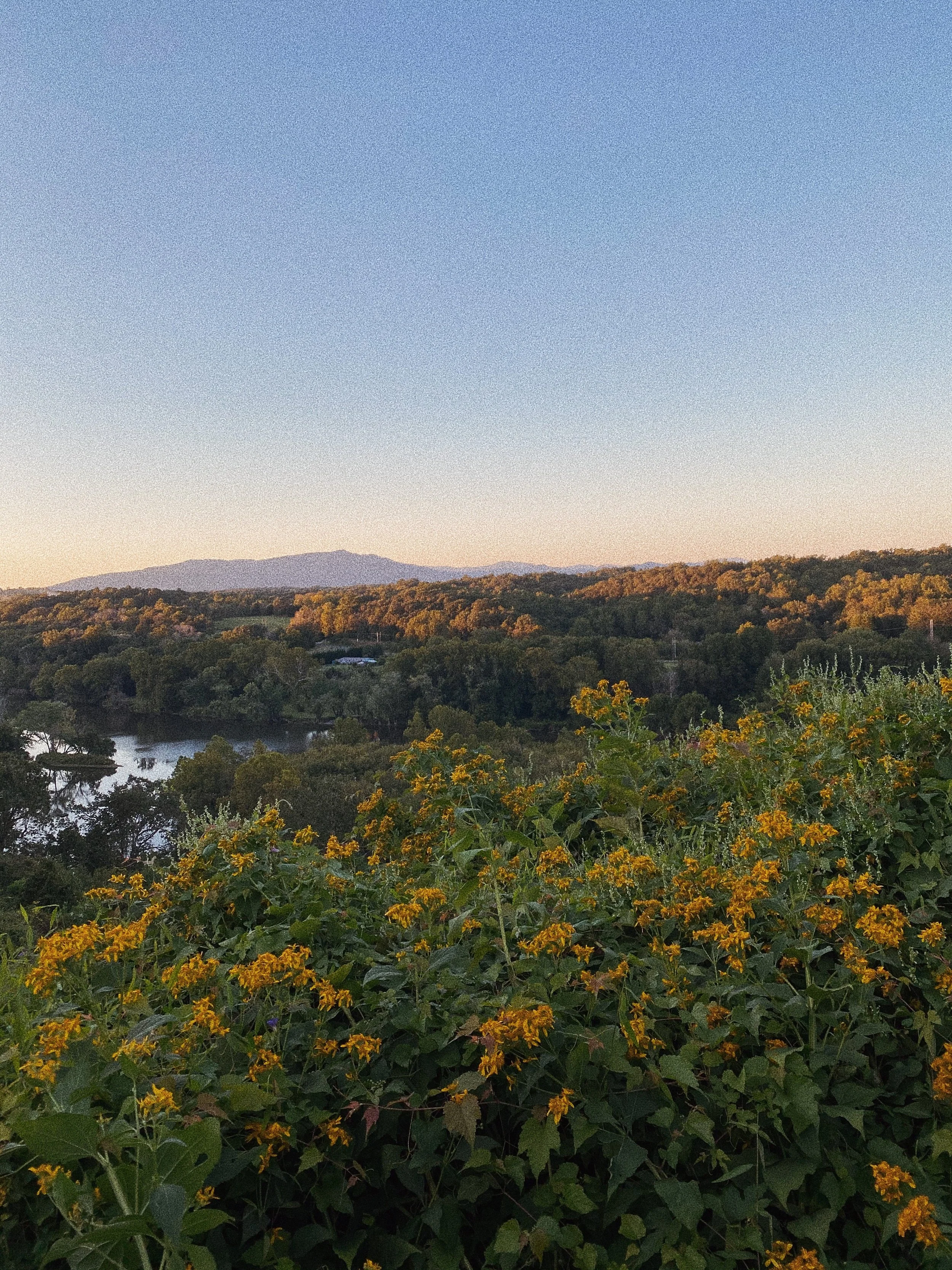 I Started My Business in My Dorm Room