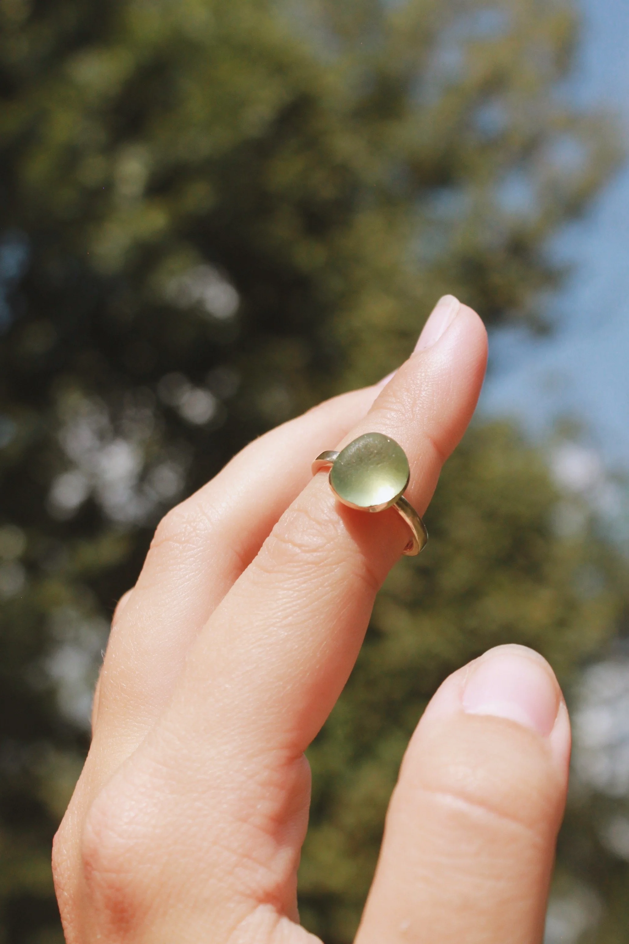 F7C8FBBE-1C7B-4B2E-A723-B02C9D29330B 2.JPG