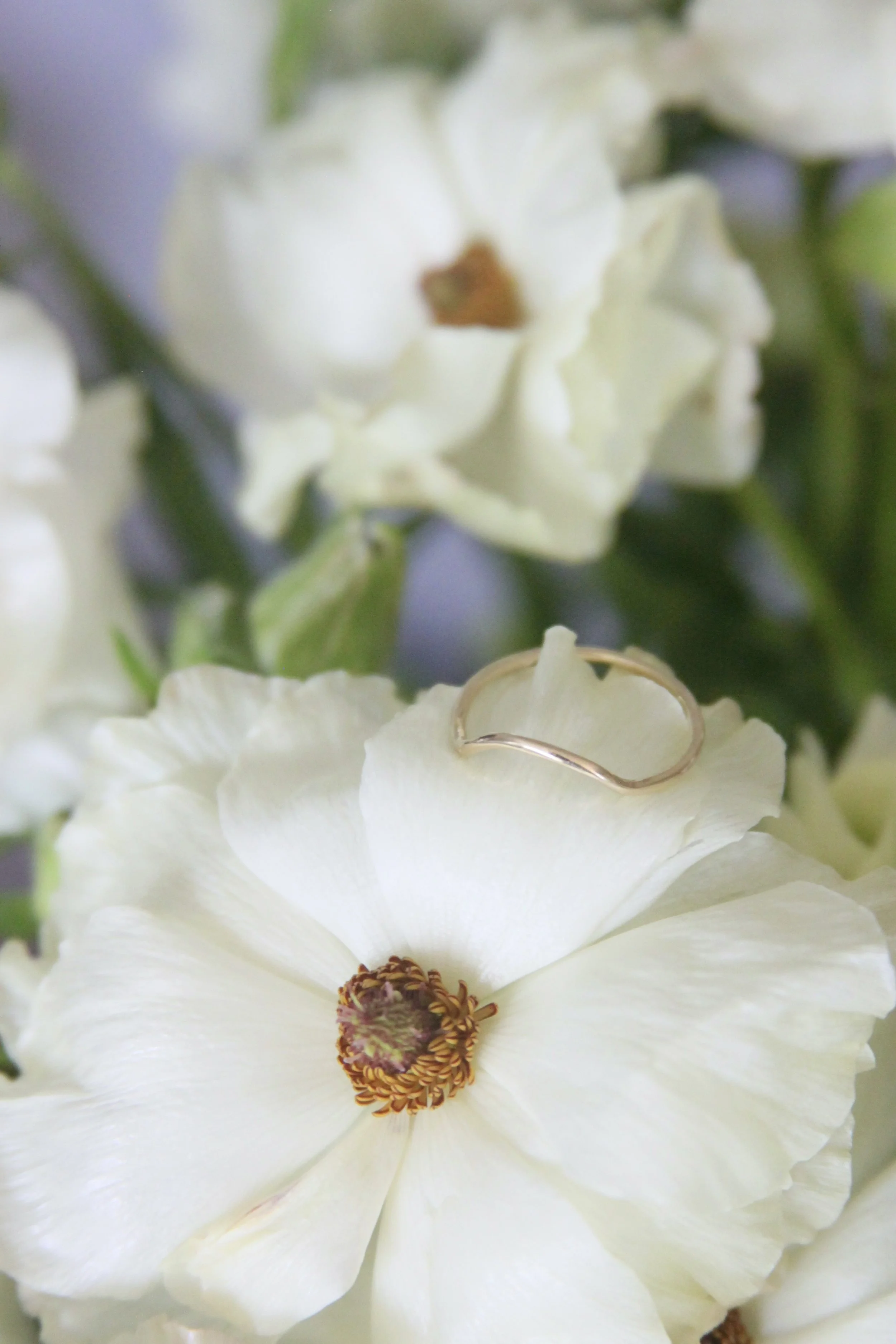 BE2DC004-04CB-47A6-BCCB-8A20B8D3E07E_1_201_a.jpeg