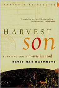 Harvest Son image.jpg