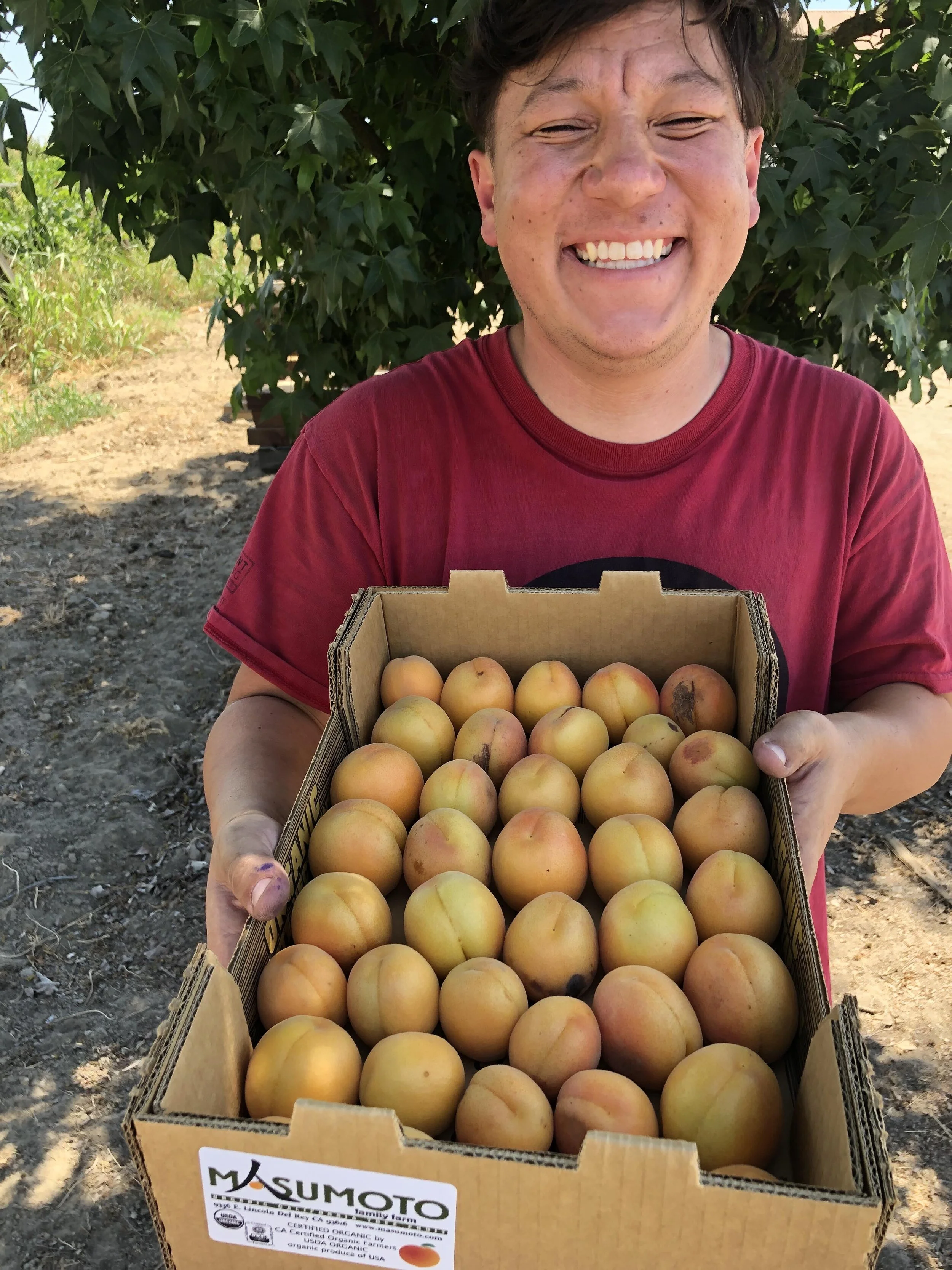 Golden Sweet Korio OUfab.jpg