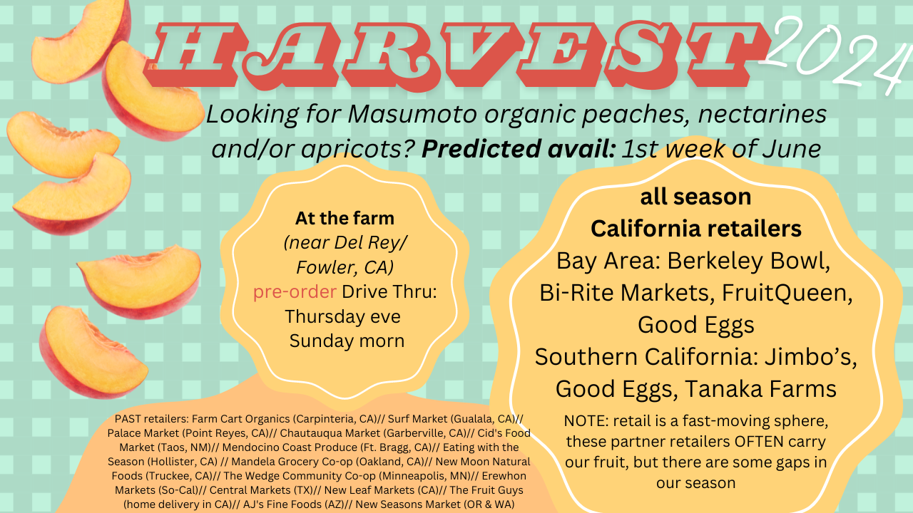 Slices of peaches and text describing predicted availability 1st week of June and retail options