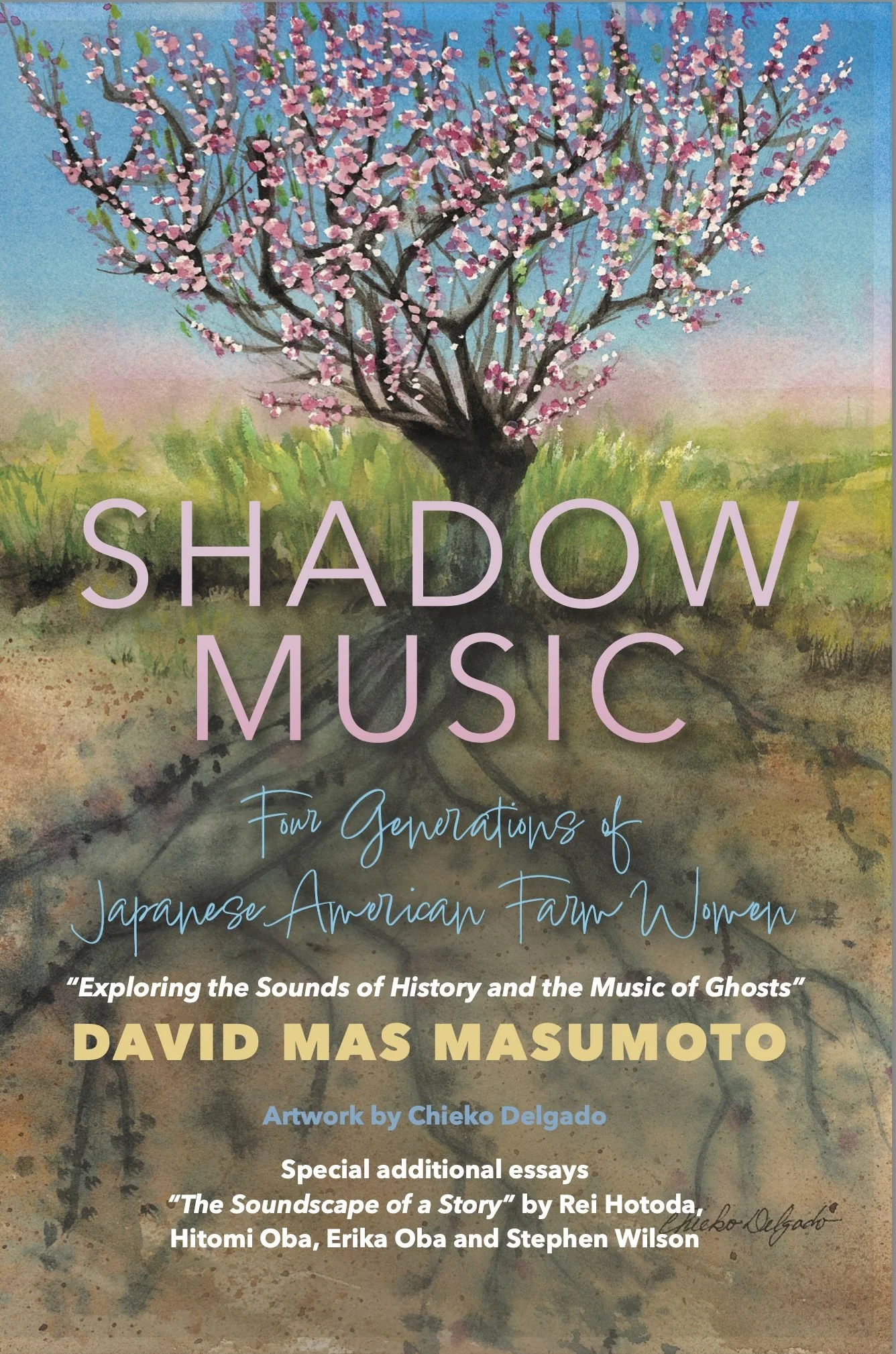 Shadow Music cover.jpg