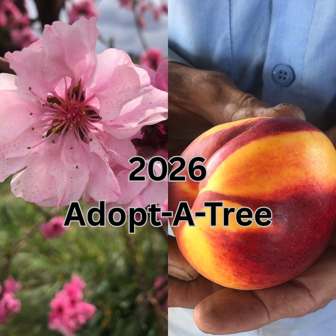 2026 Adopt-A-Tree.jpg