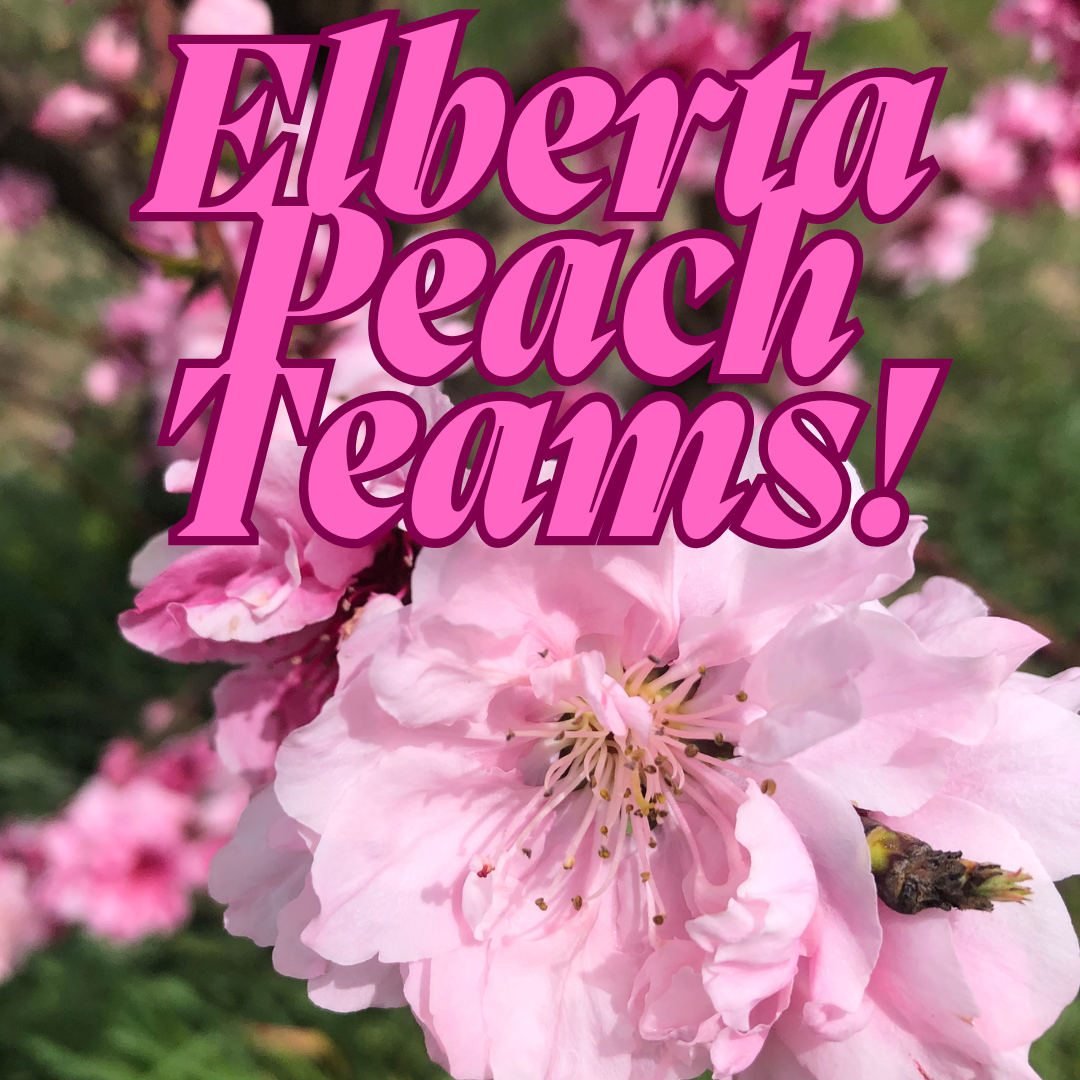 ElbertaPeachTeams.png