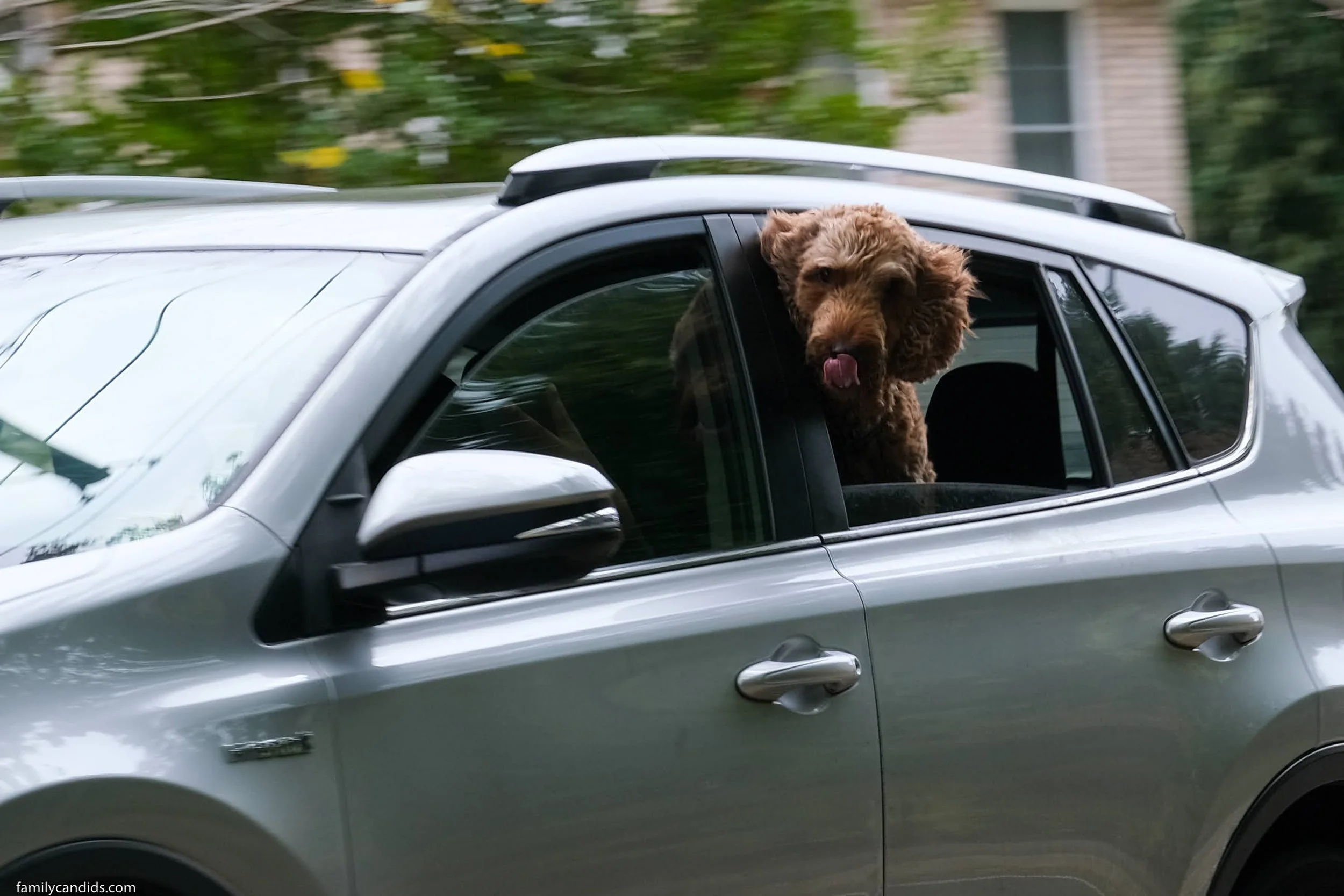 20220925-DSCF1665 (1).jpg