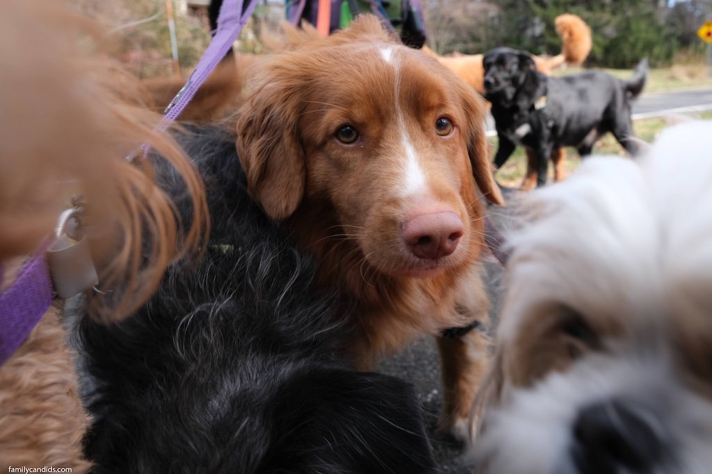 20221117-DSCF3654 (1).jpg