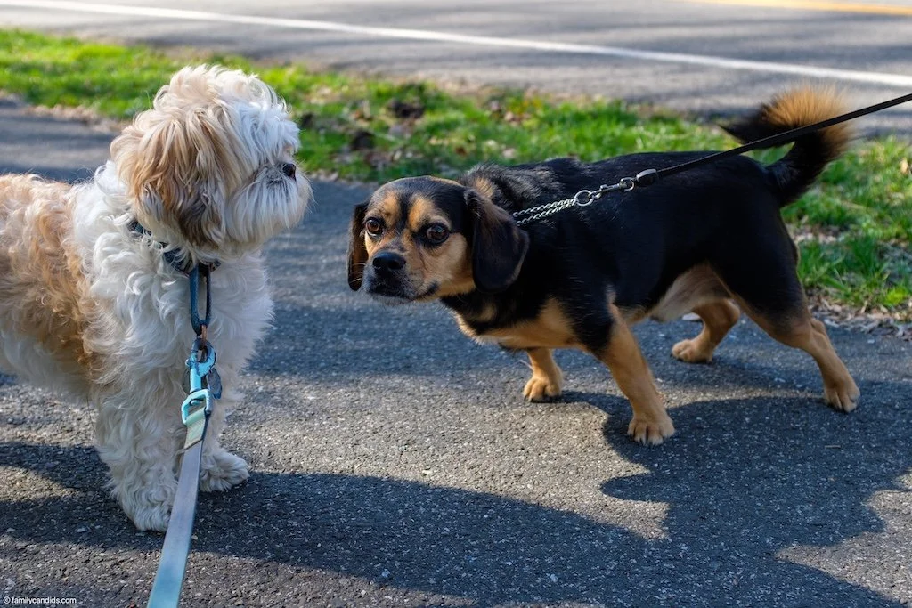 20240316-DSCF3602 (1).jpg