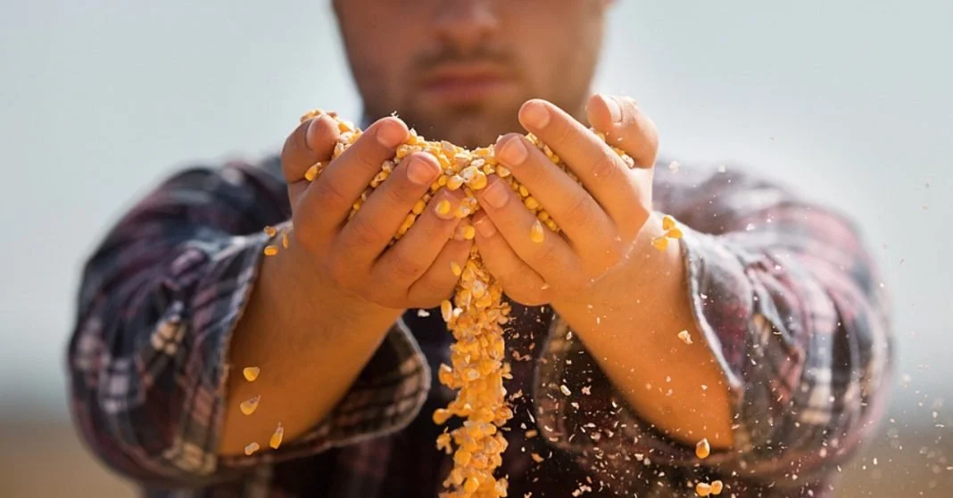 ESG Action with reproducible seeds (Feedback after 3 years)