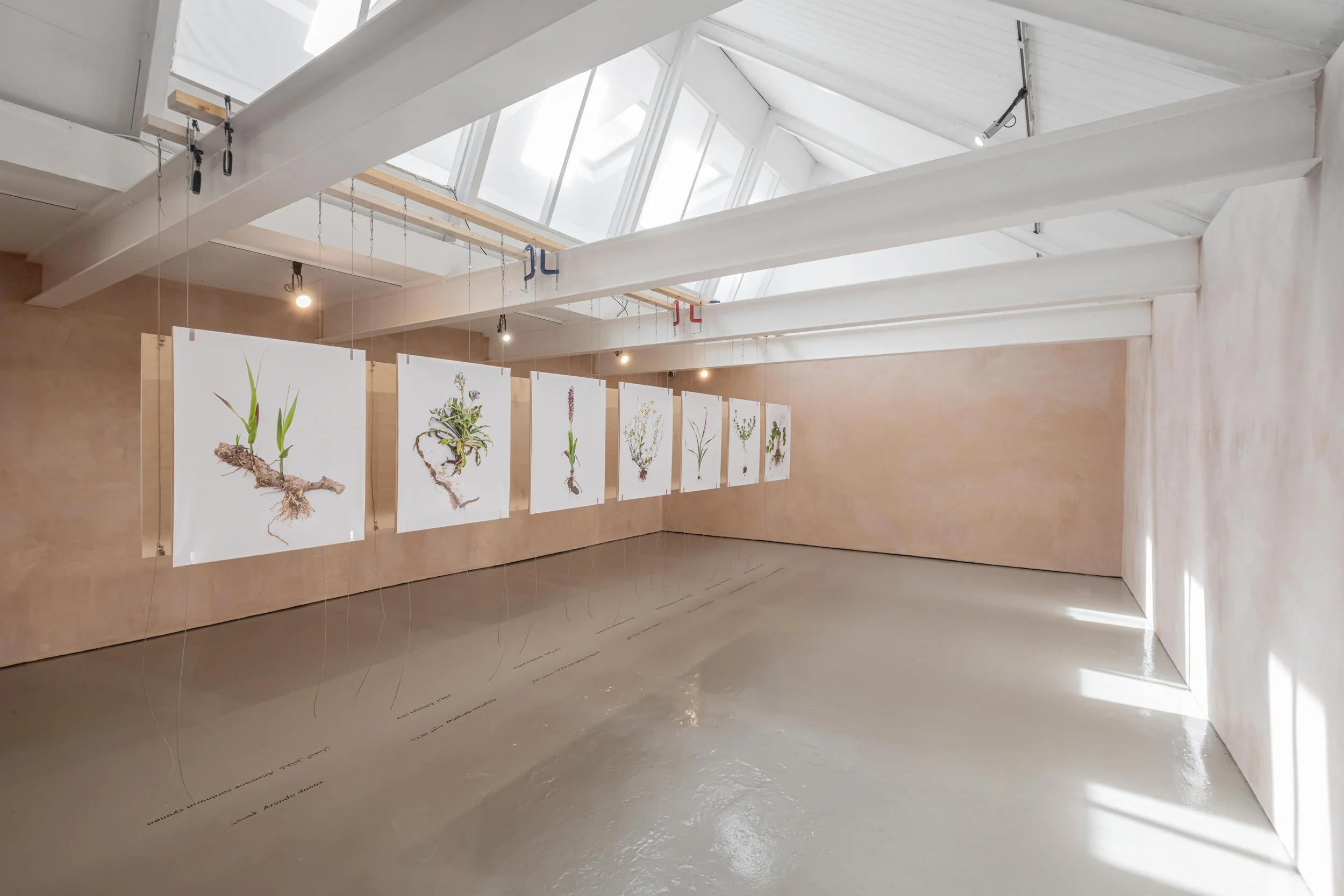 OUTPOST009.jpg