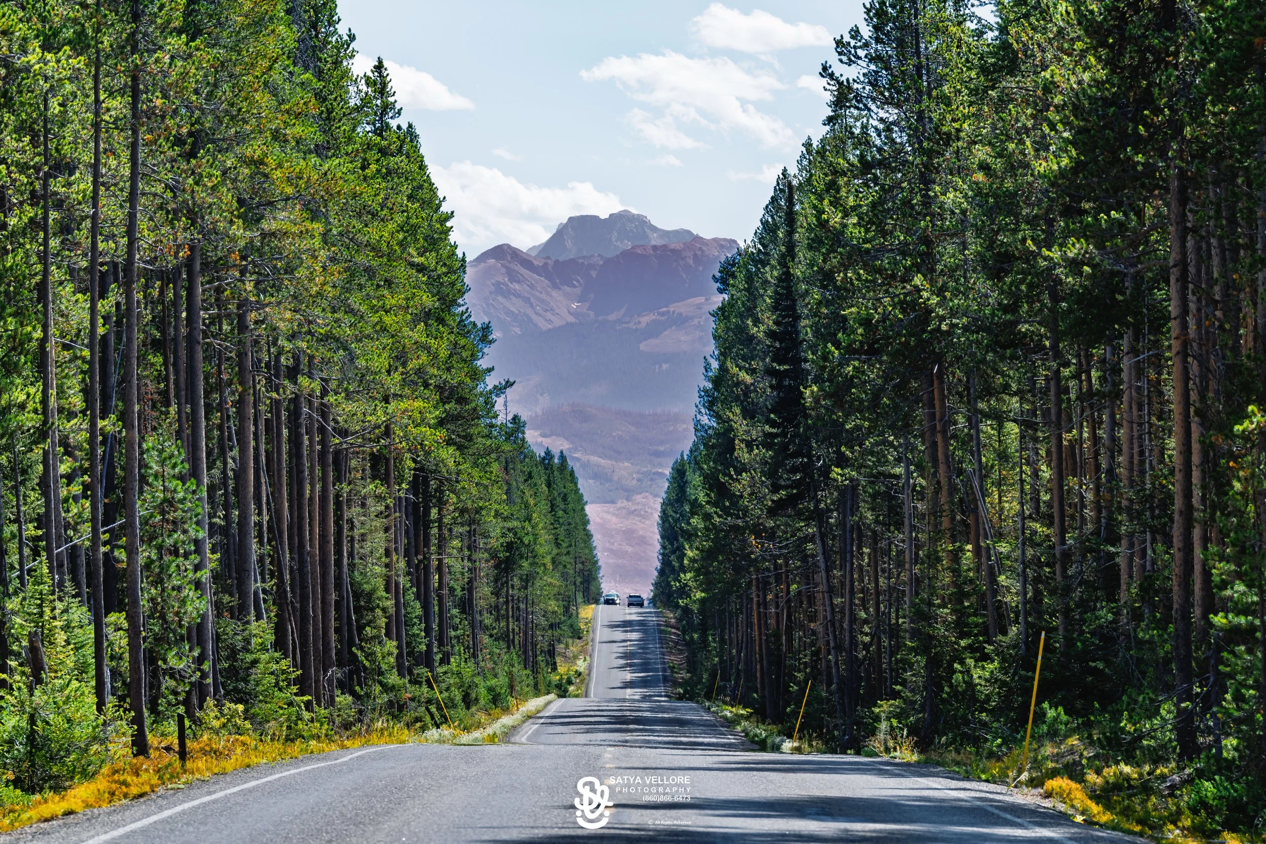 YS-GT-Trip-171.jpg