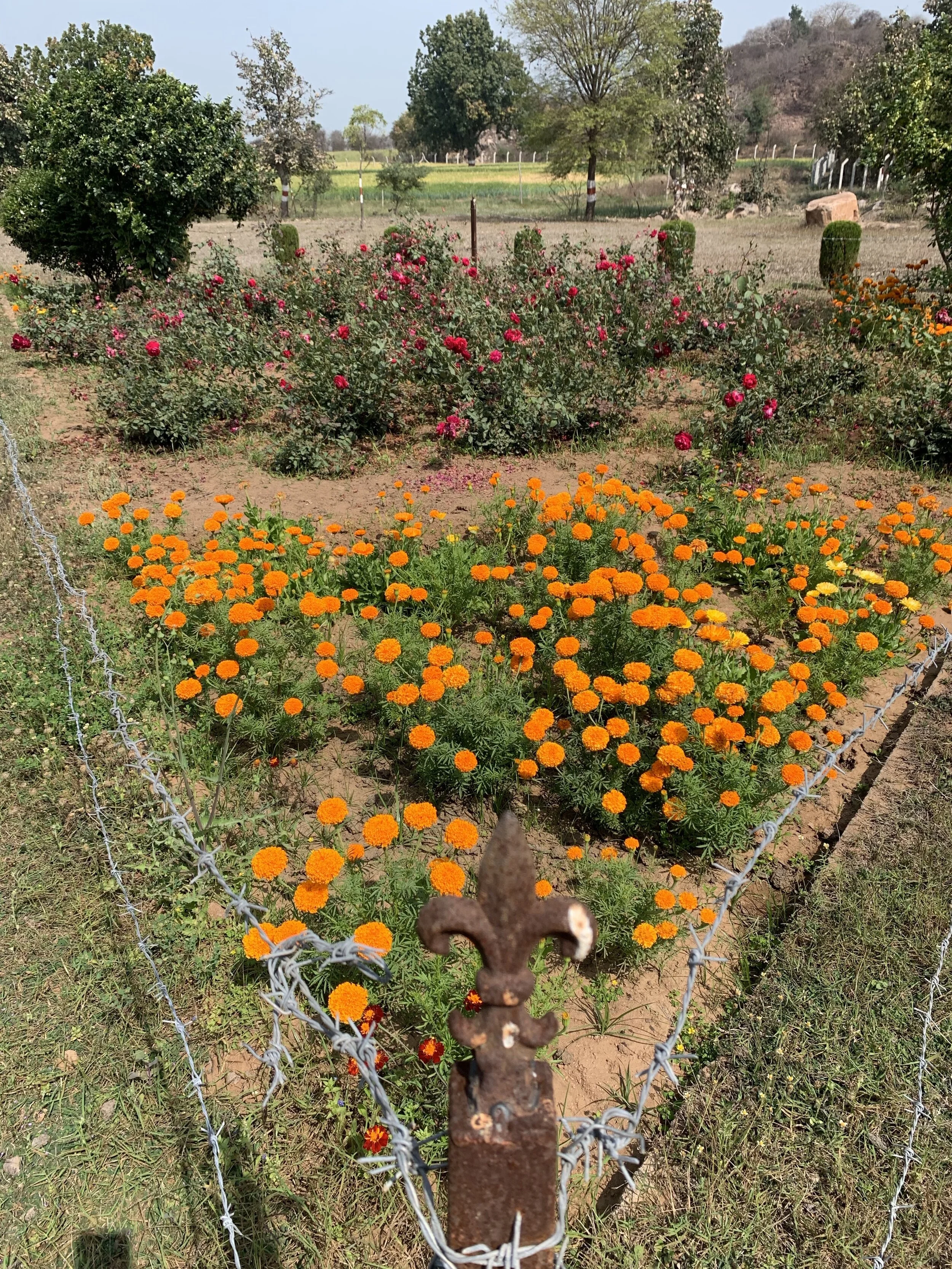 REBIRTH  | Time to Plant Your Seeds | Restoring your Connection