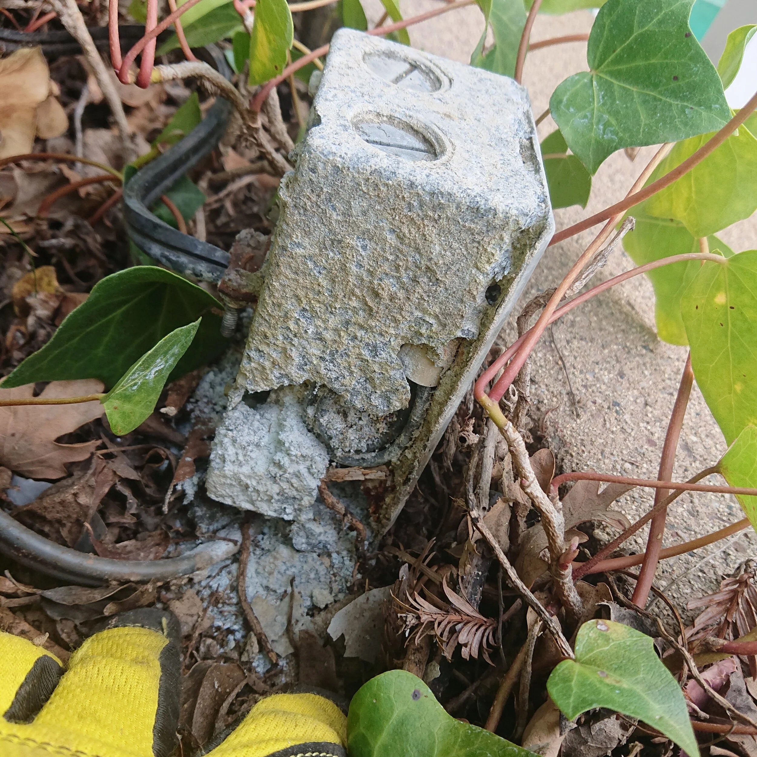 DSC_0407.JPG