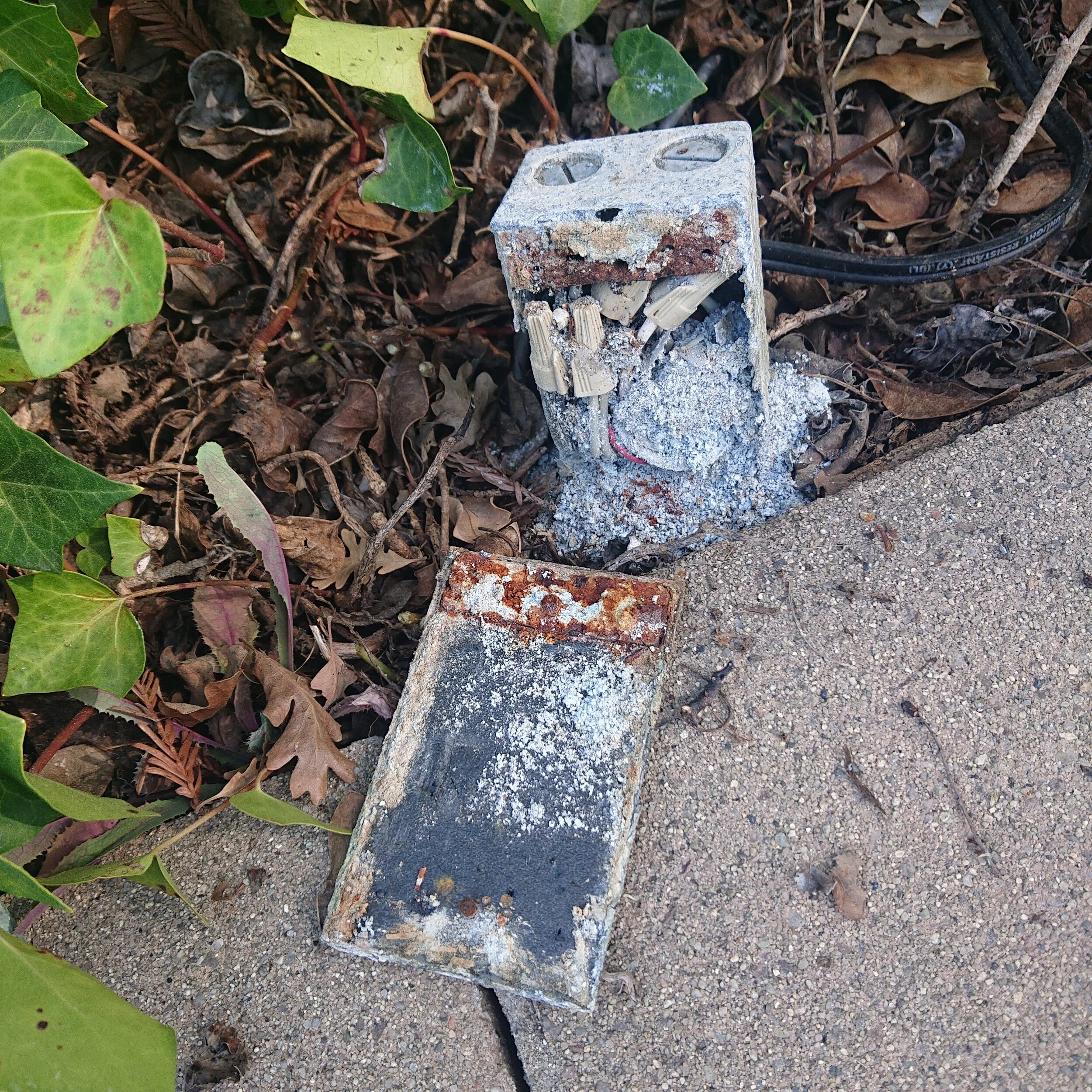 DSC_0414.JPG