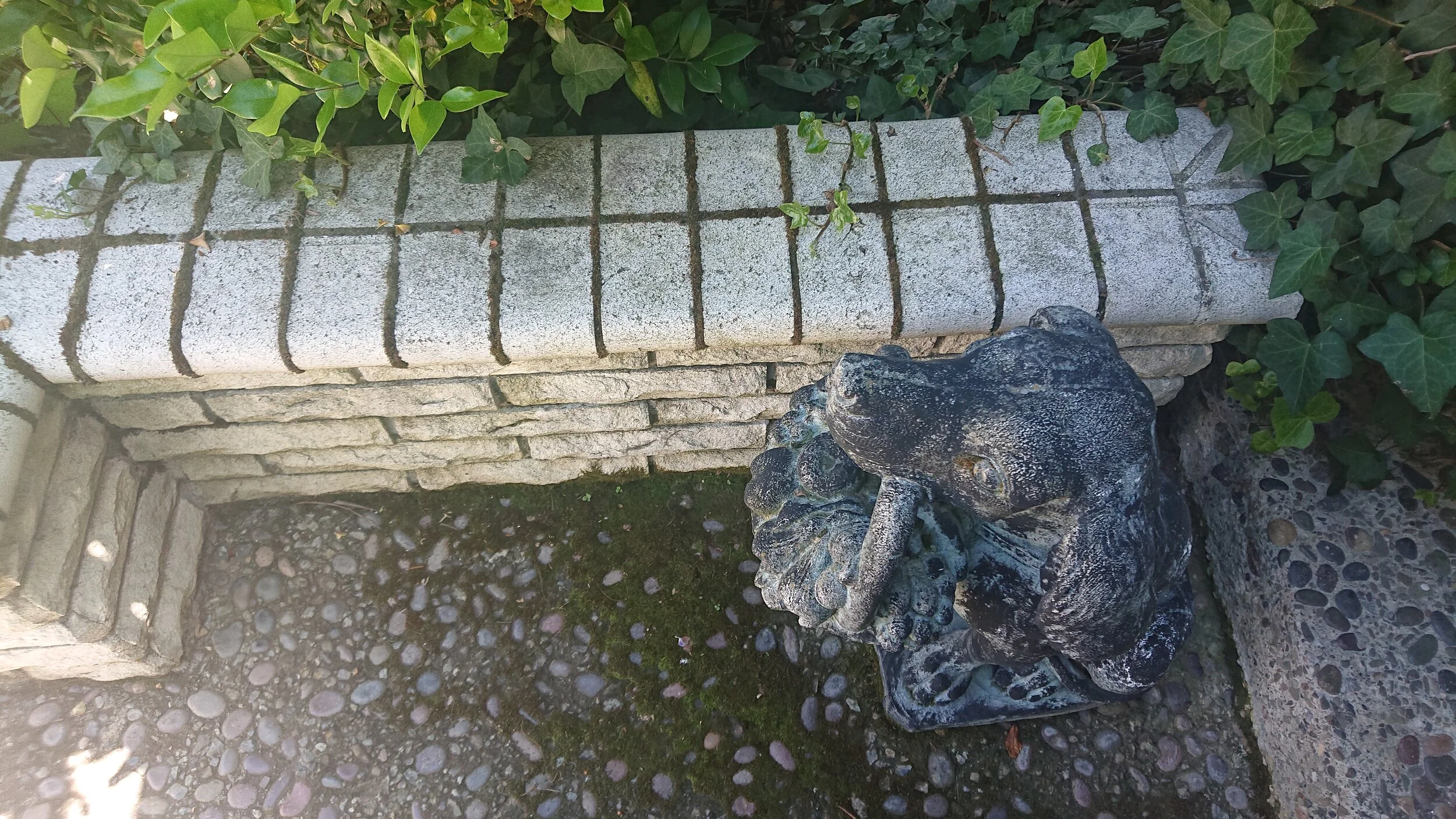 DSC_0614.JPG