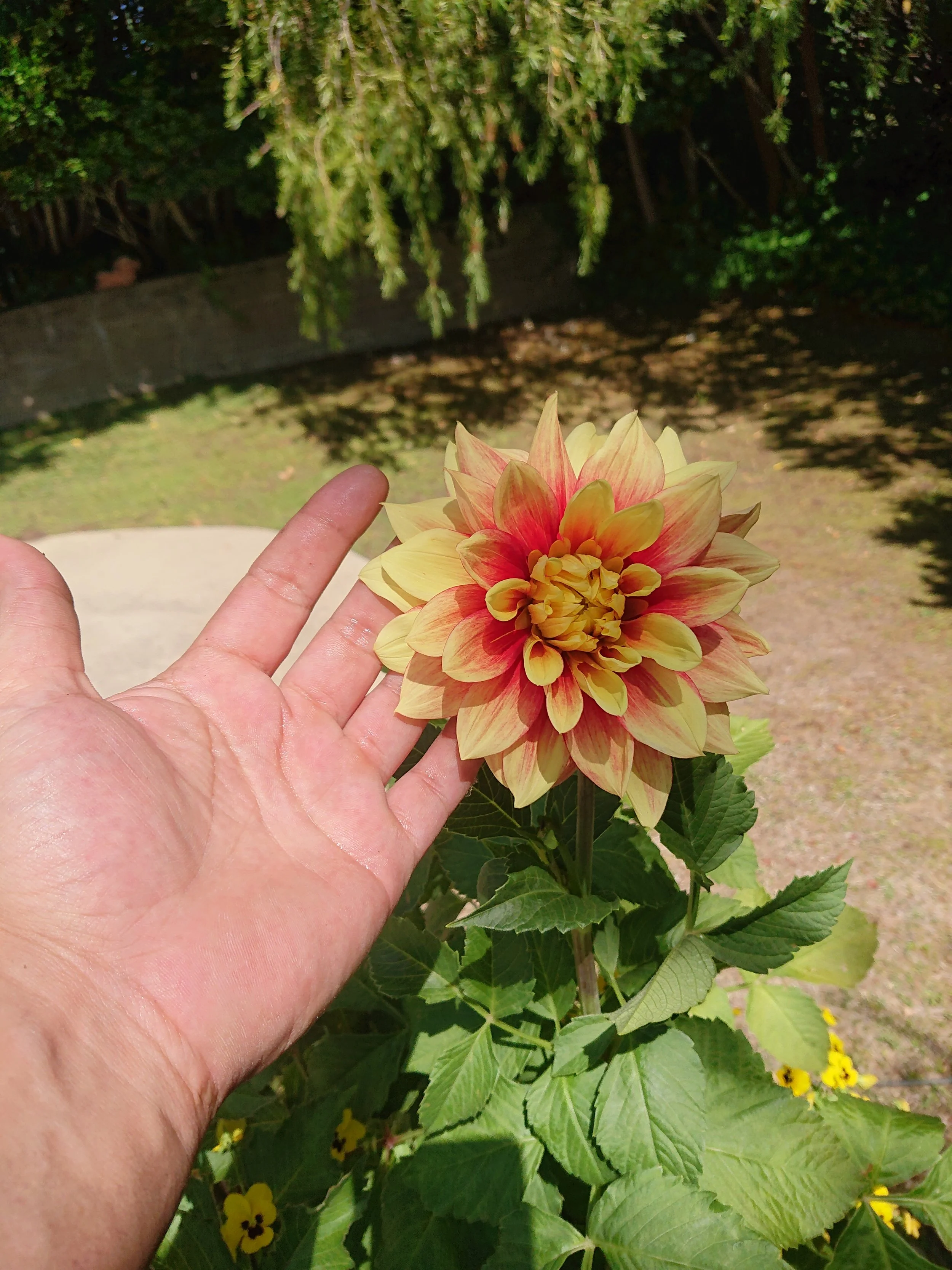 DSC_0632.JPG