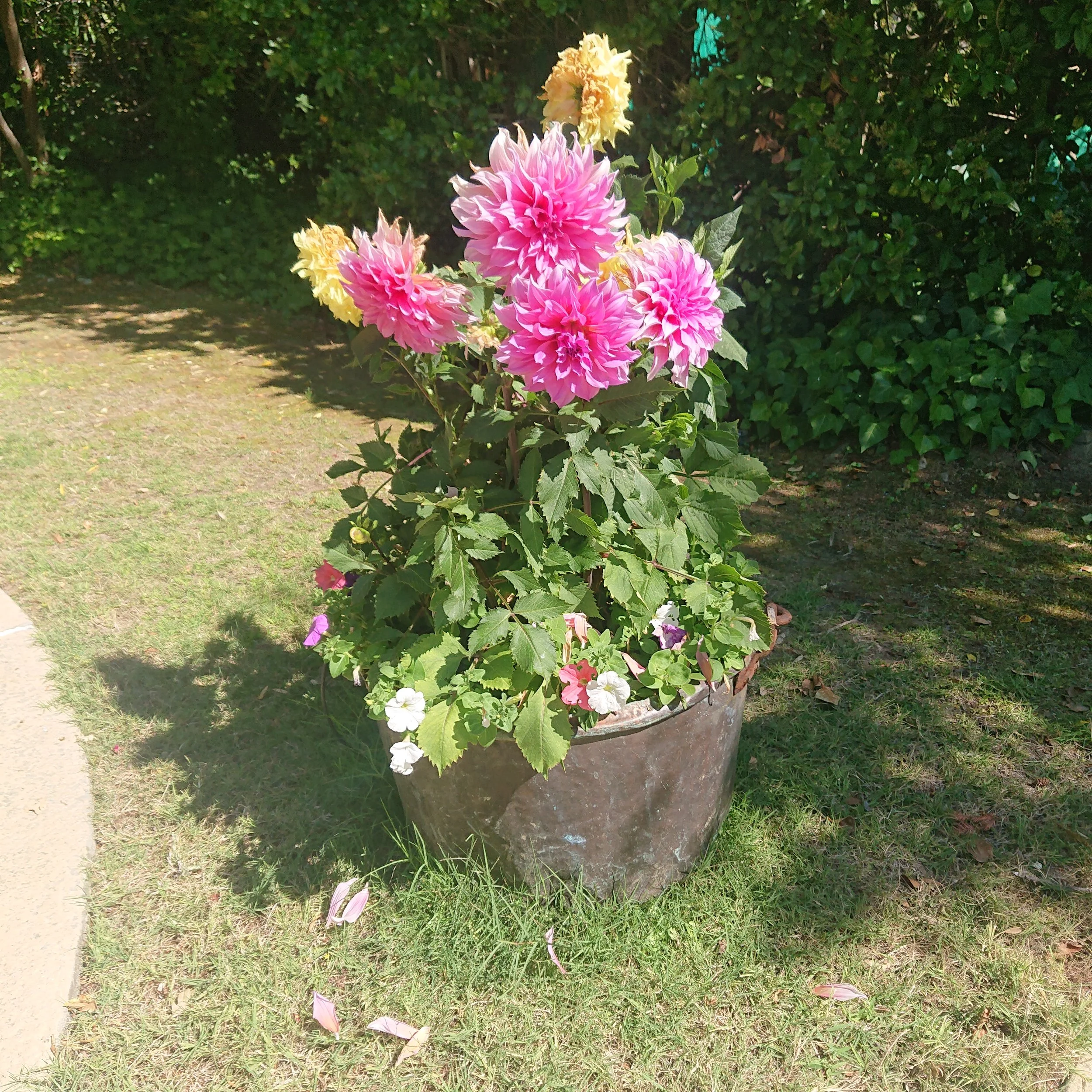 DSC_1416.JPG