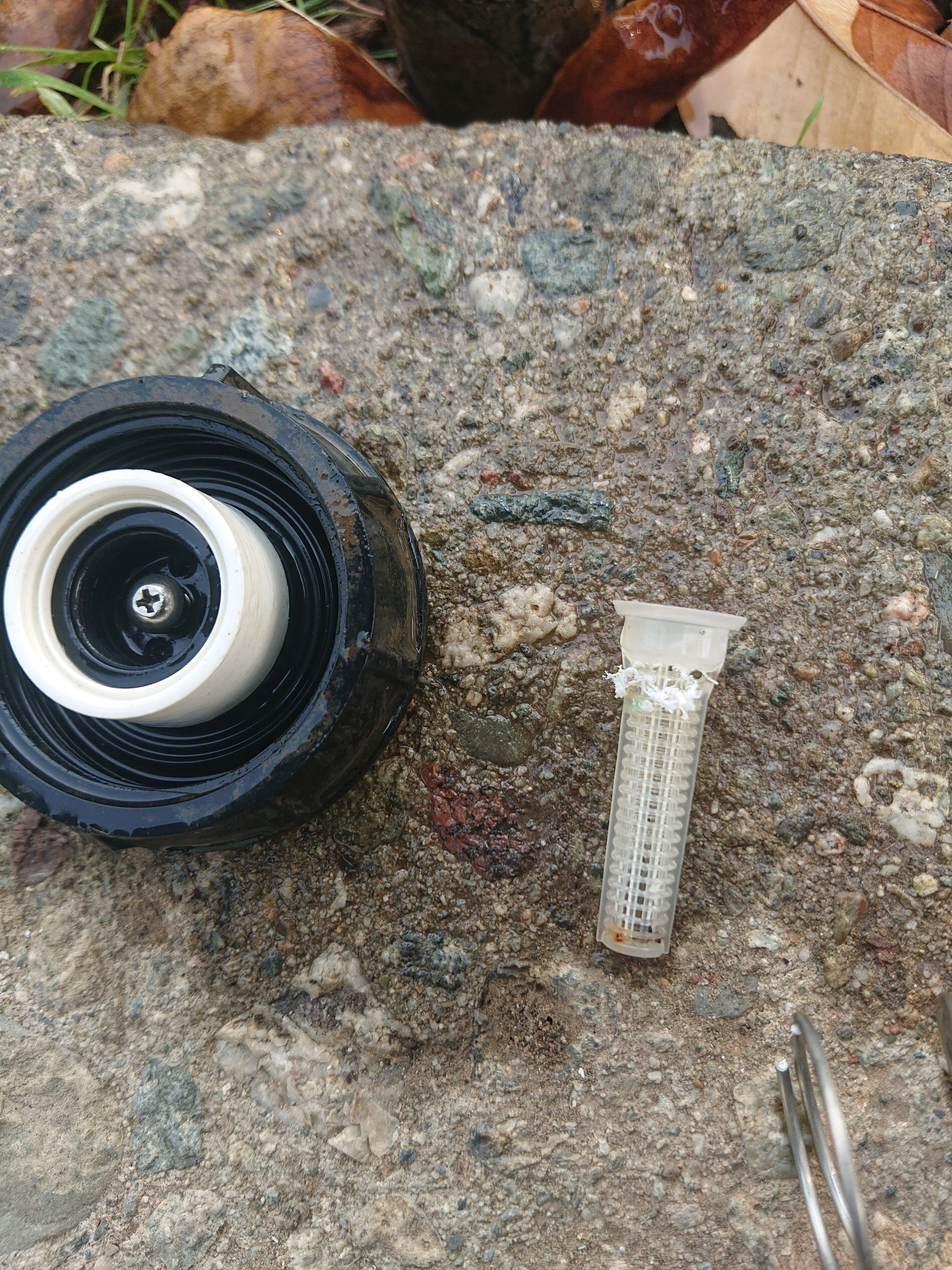 DSC_1699.JPG