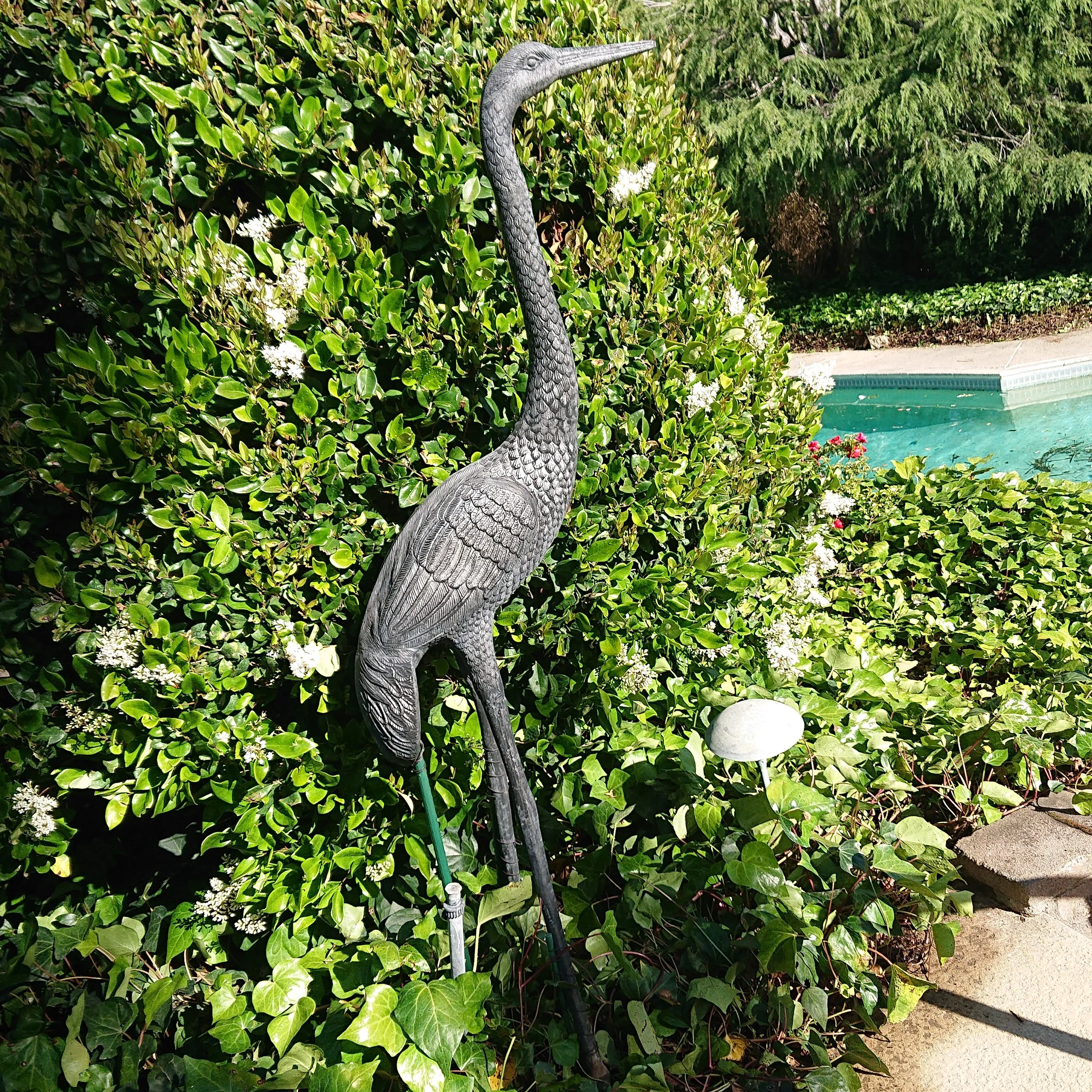 DSC_0768.JPG