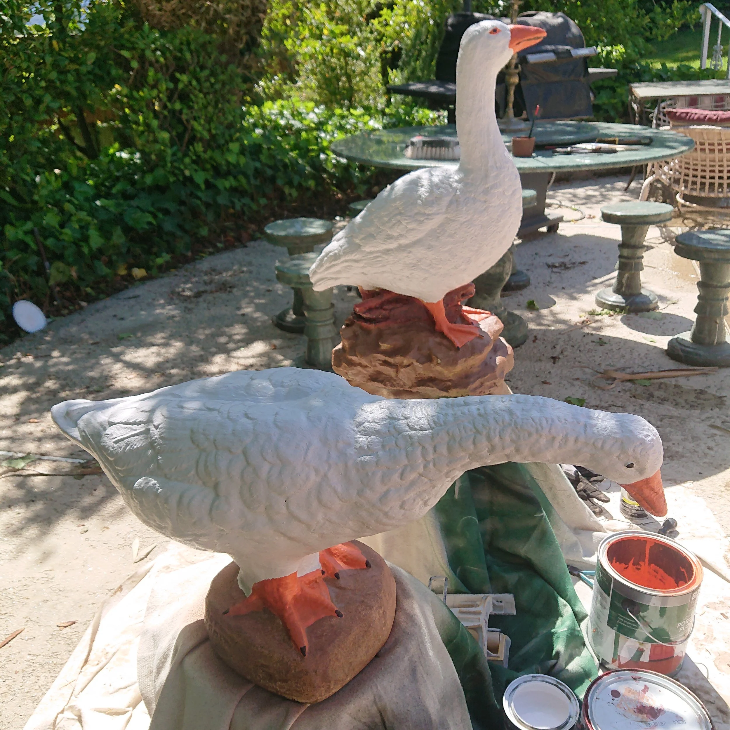 DSC_0824.JPG