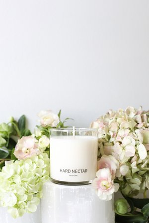 Hard Nectar Lemon Thyme scented Candle 9oz — HARD NECTAR