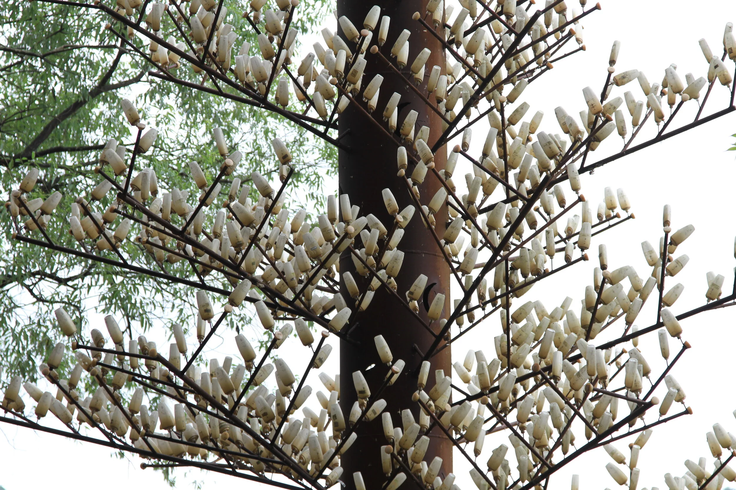 사랑과평화의 등대3.JPG