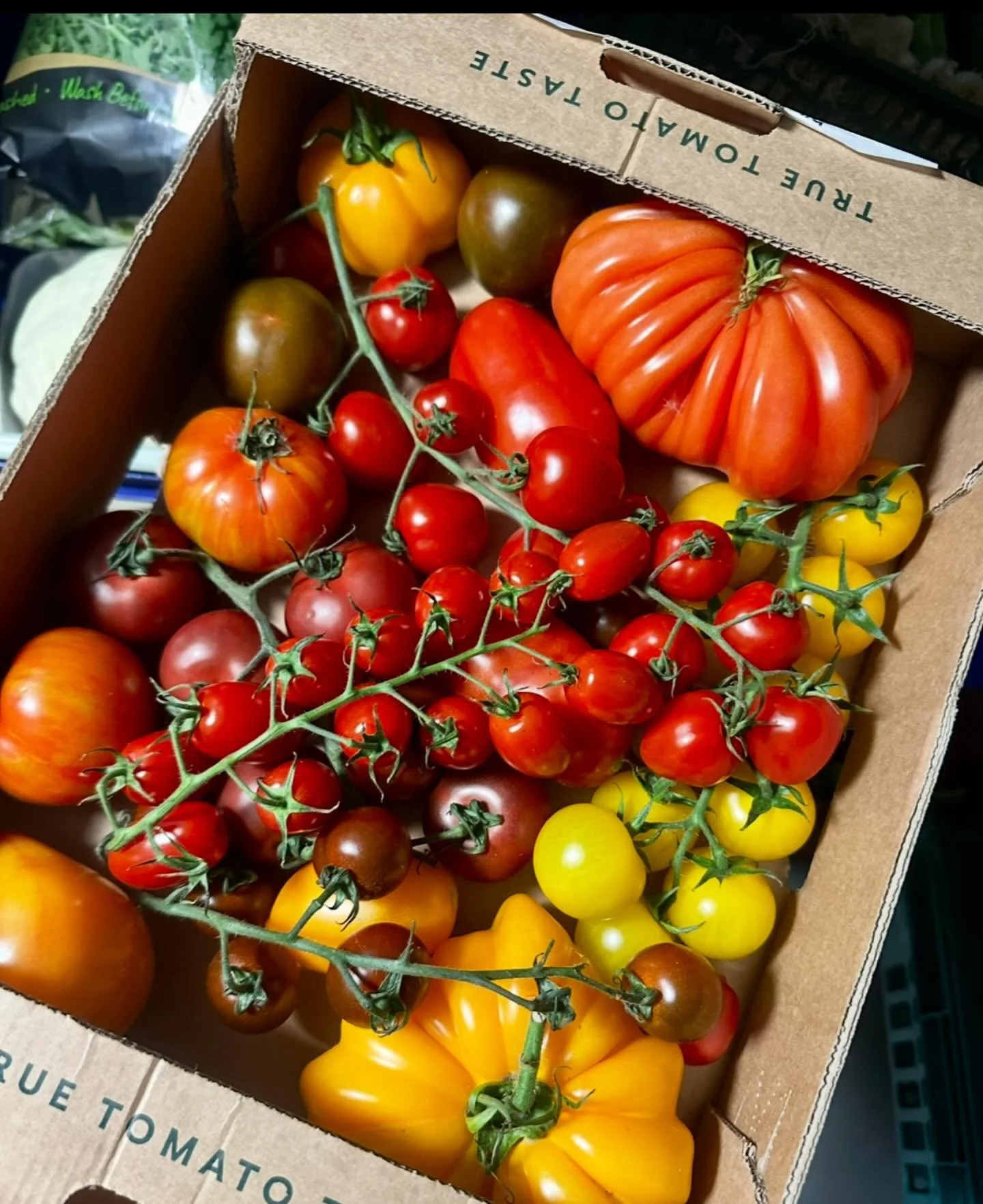 🍅 from the IOW