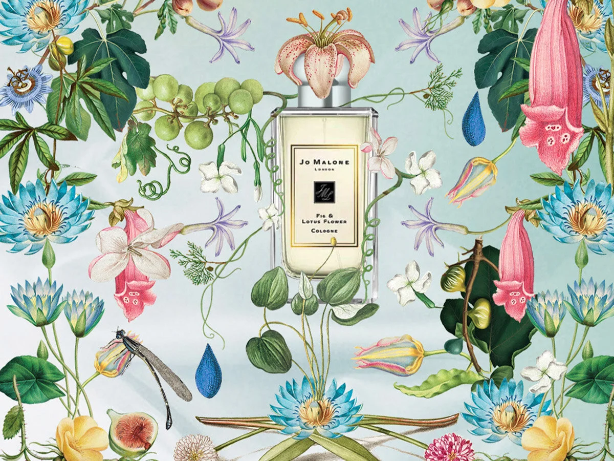 Stephanie Fishwick Calligraphy & Illustration