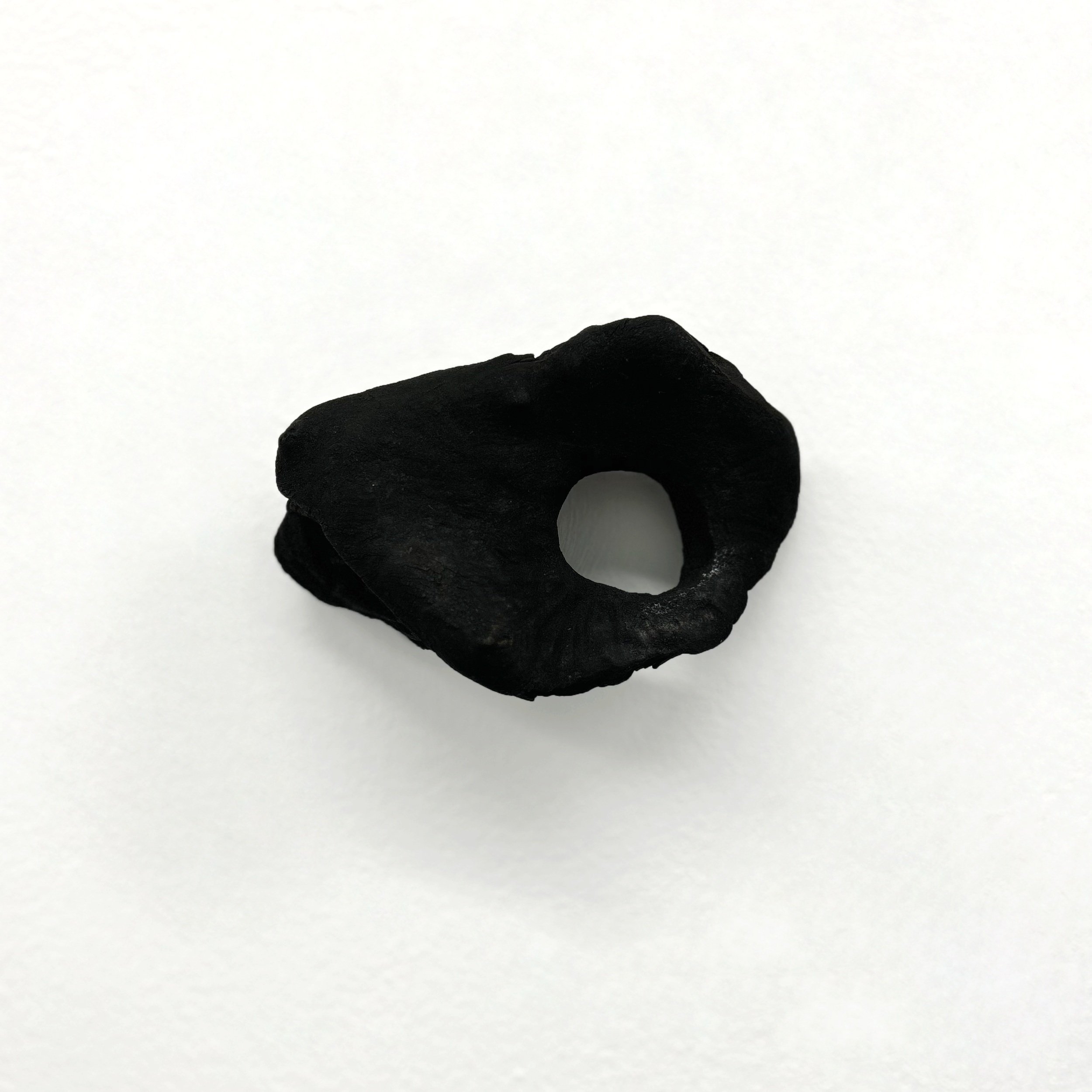 der-zahn-kathryn-gohmert