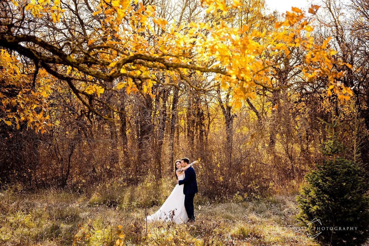 TOUR VIDEO — Oakland Estate