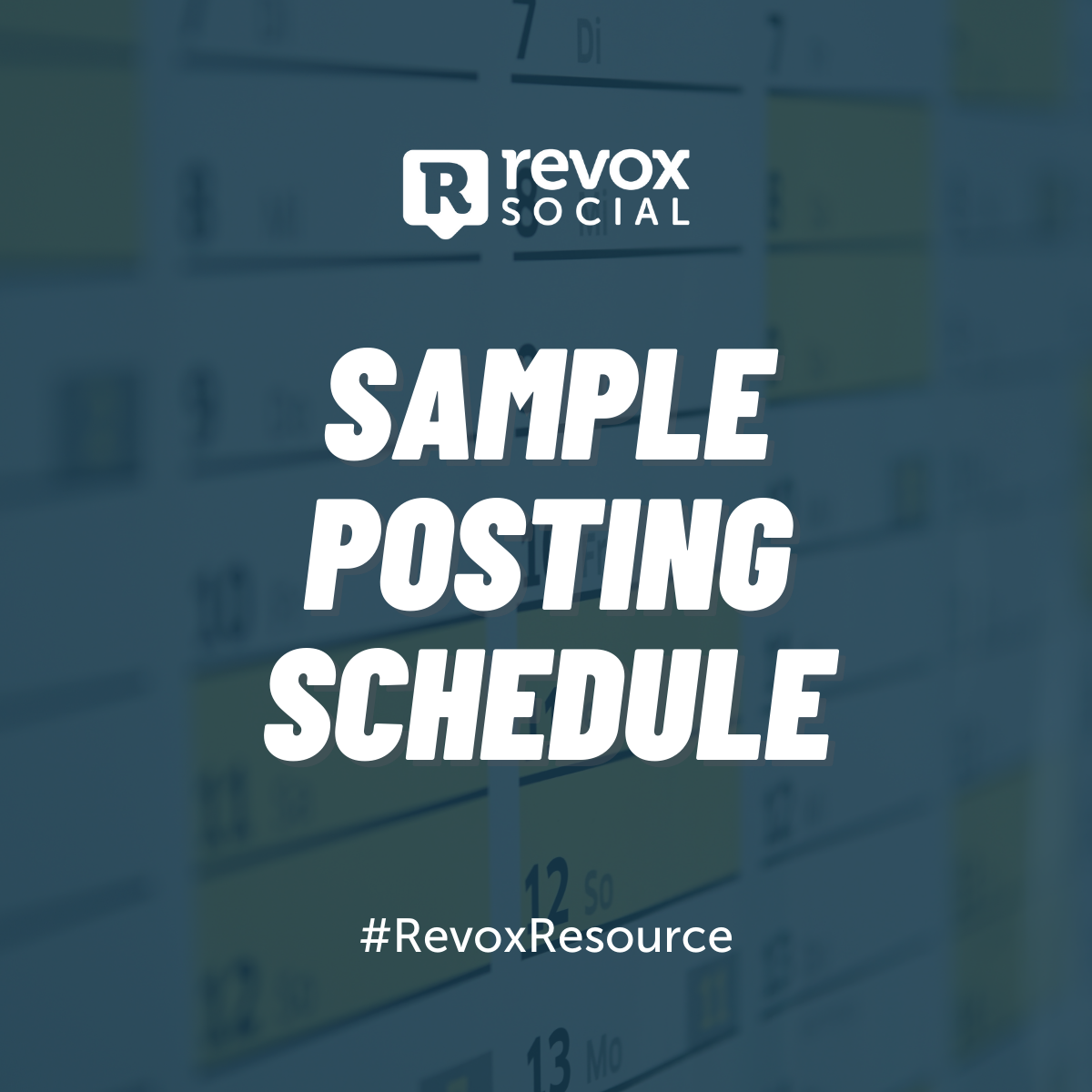 Sample Posting Schedule - A Free Resource from Revox Social