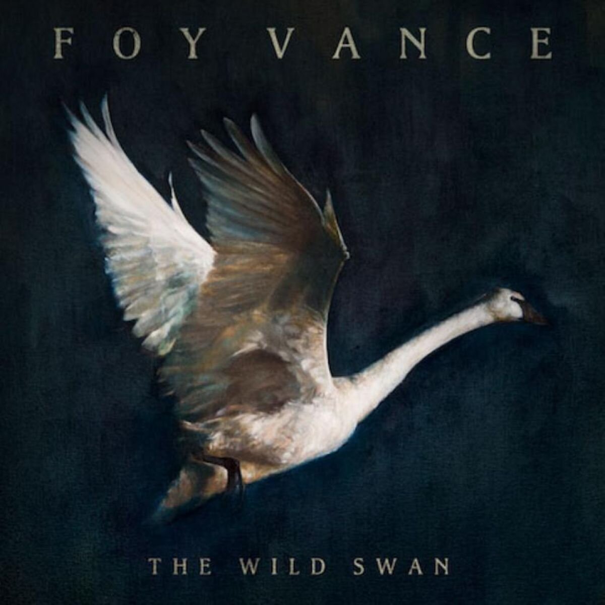 Foy Vance - The Swan