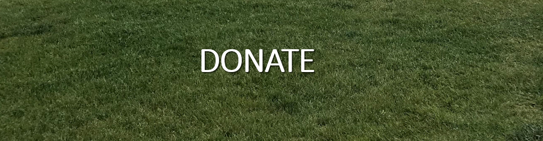 DONATE Page Banner 2022.PNG