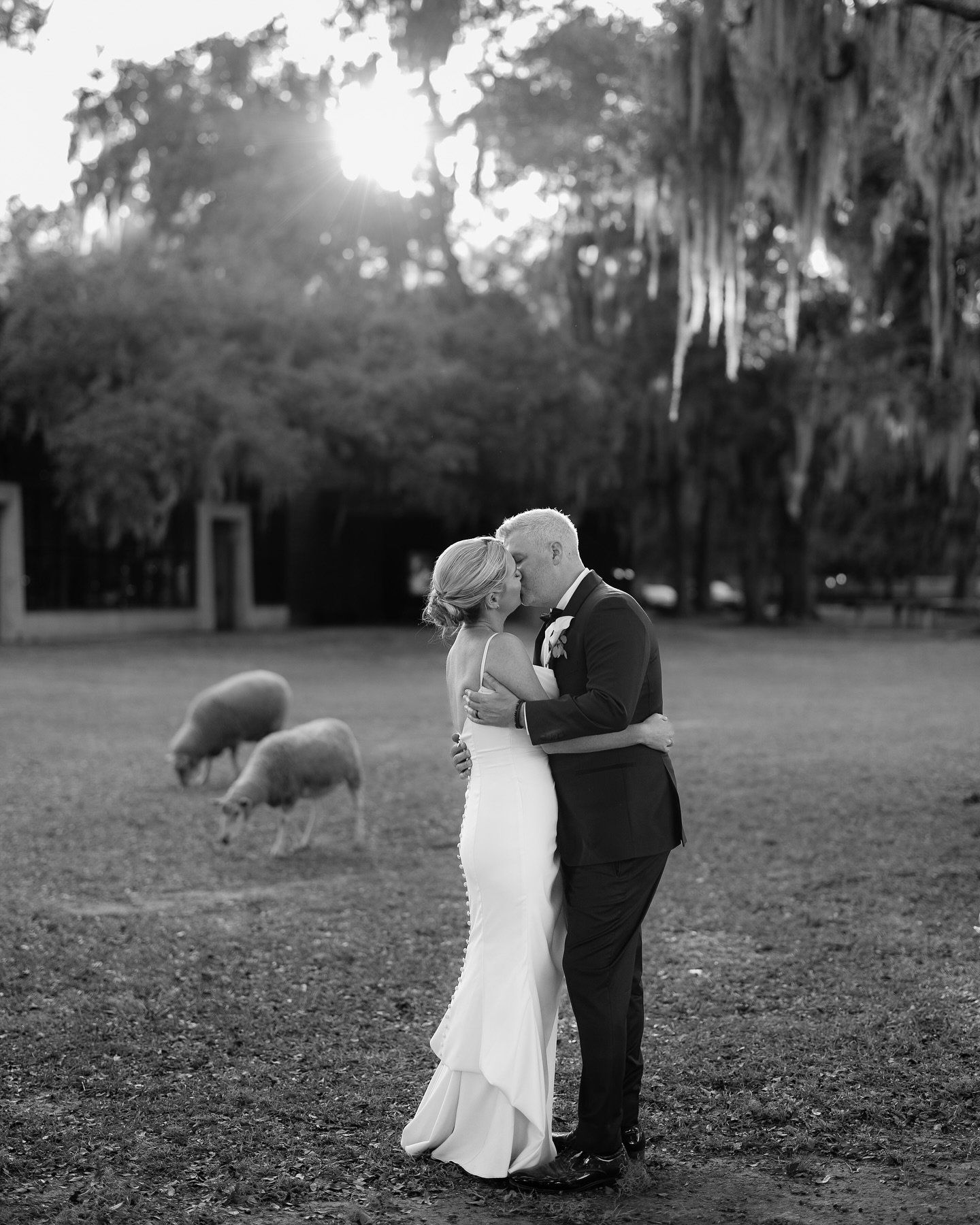 Allison and Max wedding day was a shear perfection. 🥰🐏❤️

@1lifephoto