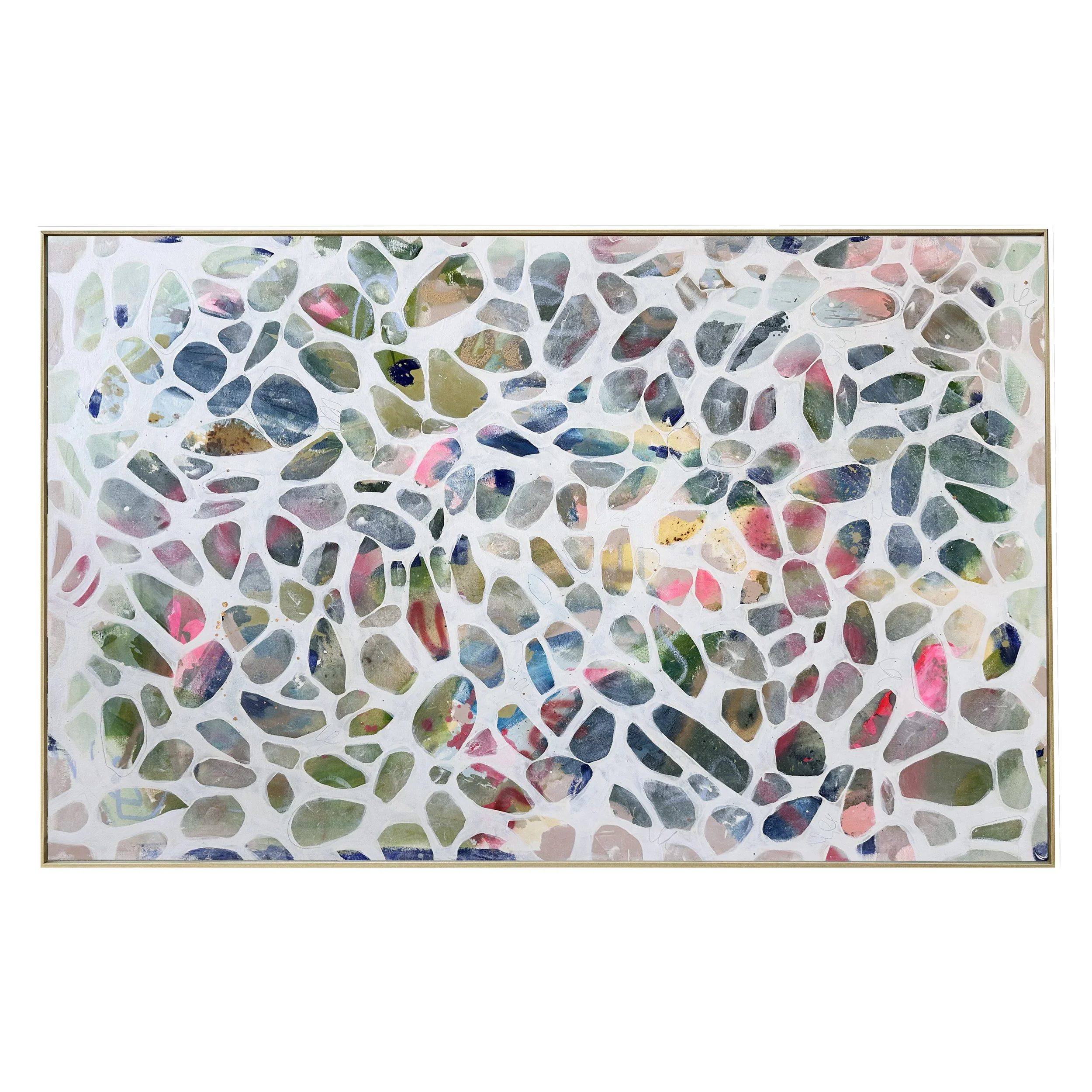 bones and shells.jpg