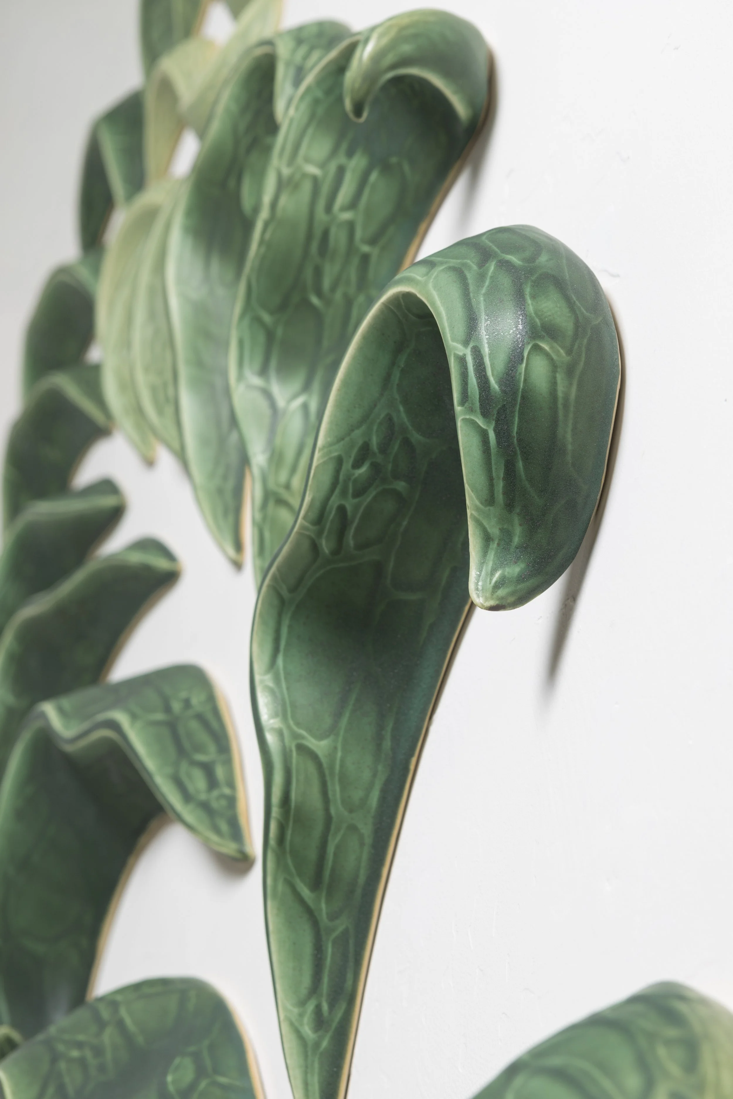 Julie Anderson 08.jpg