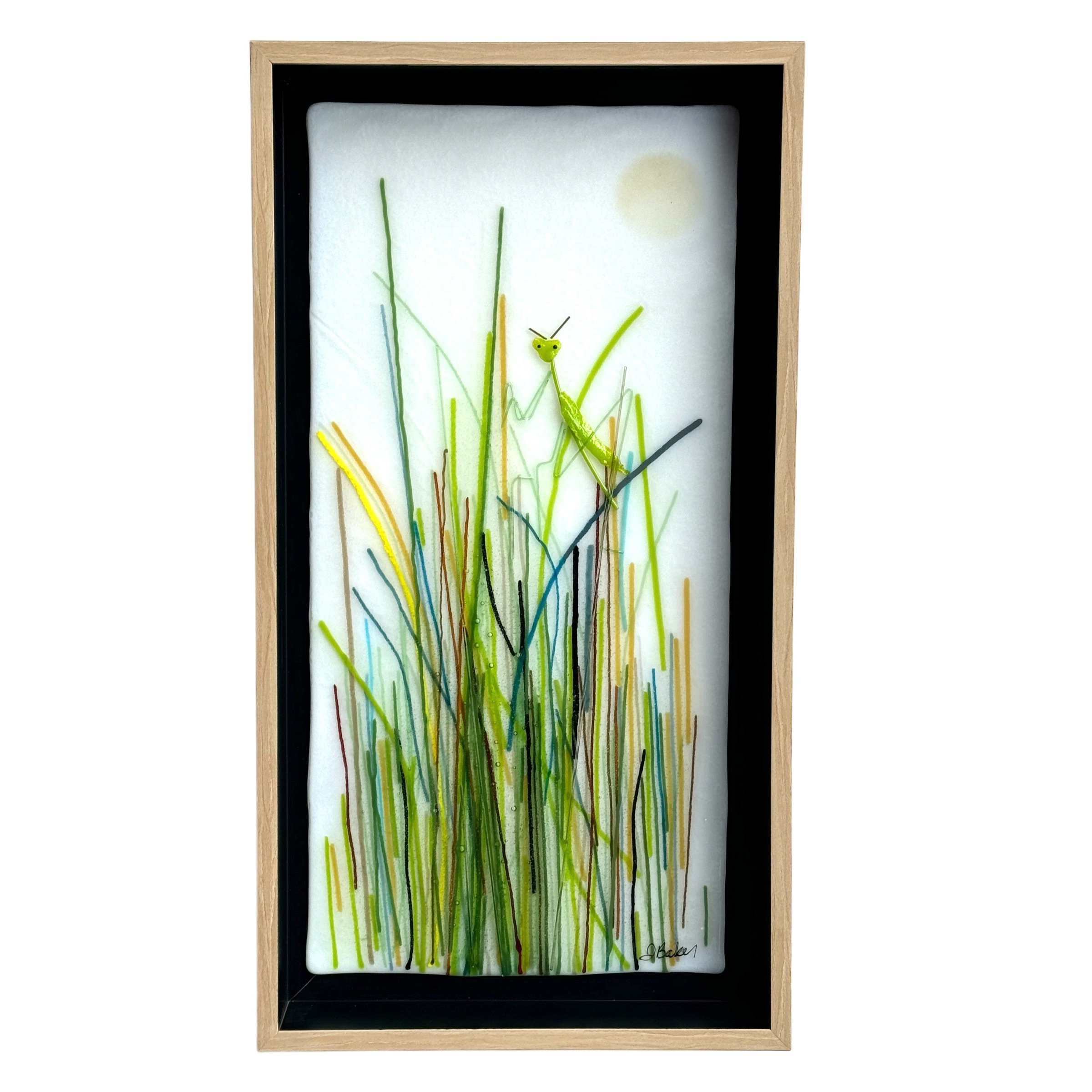 Sometimes you just want to blend inPM.jpg