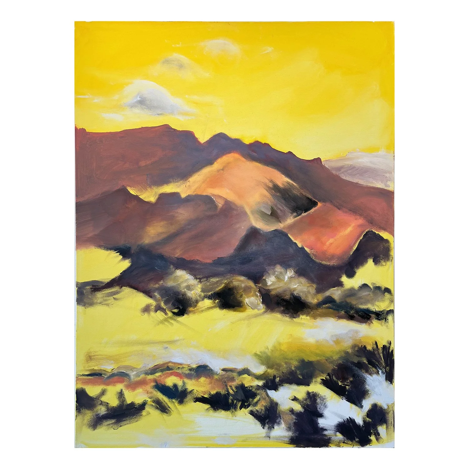 View of the Mountains.jpg