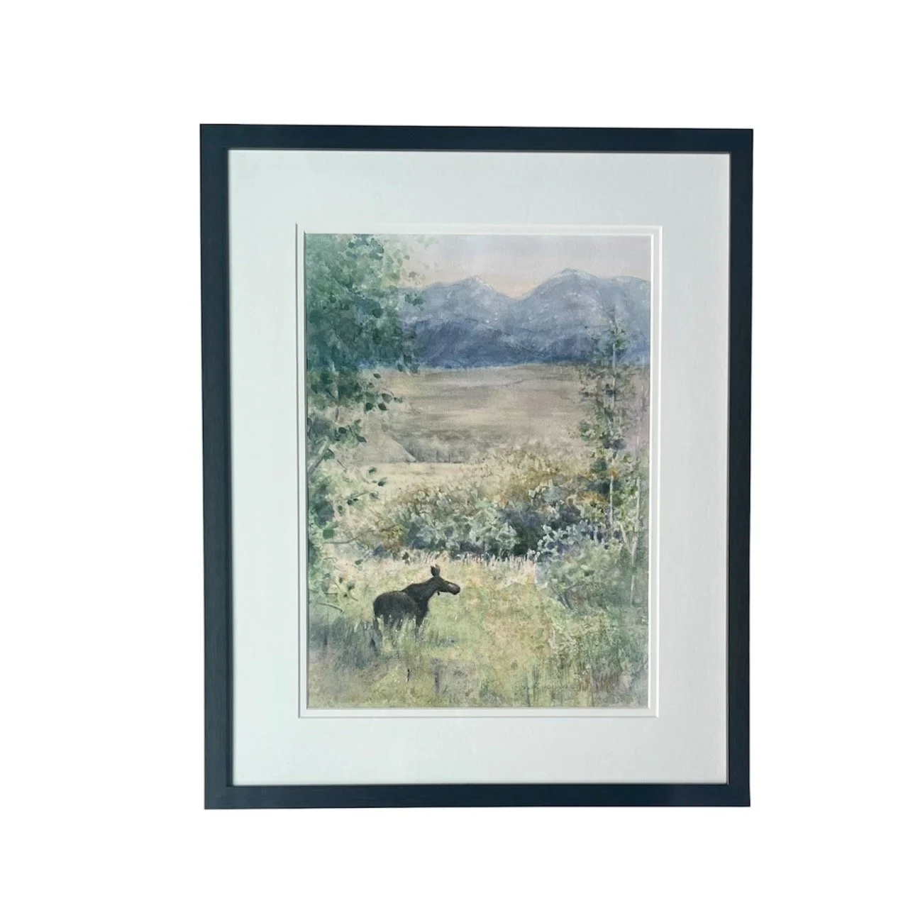 AN EVENING IN NORTH PARK 4.jpeg