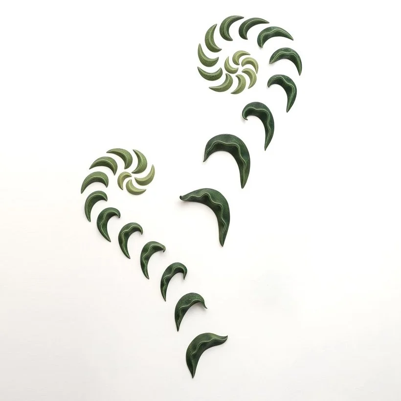 Spirafolia.jpg