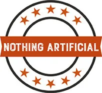 NothingArtifical2a.jpg