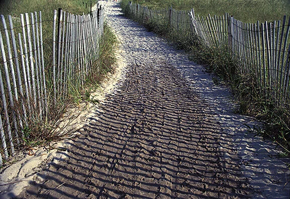 beachwalk.jpg
