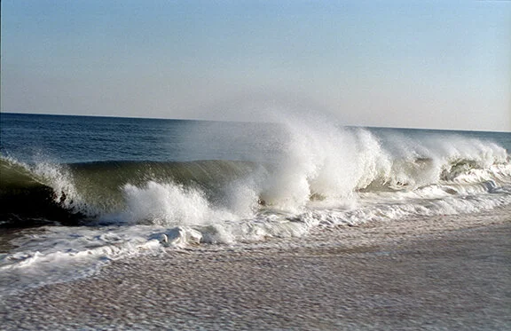 F01 29.jpg